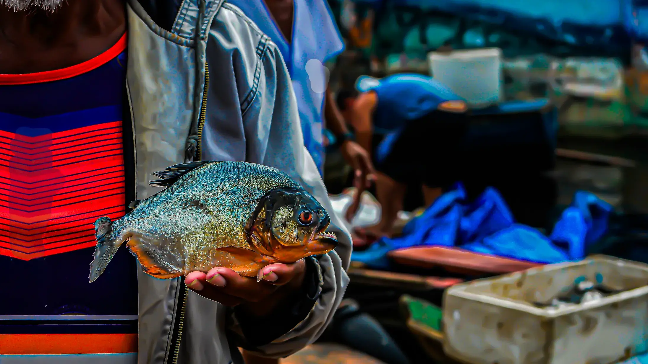 Zdjęcie z programu wyjazdu