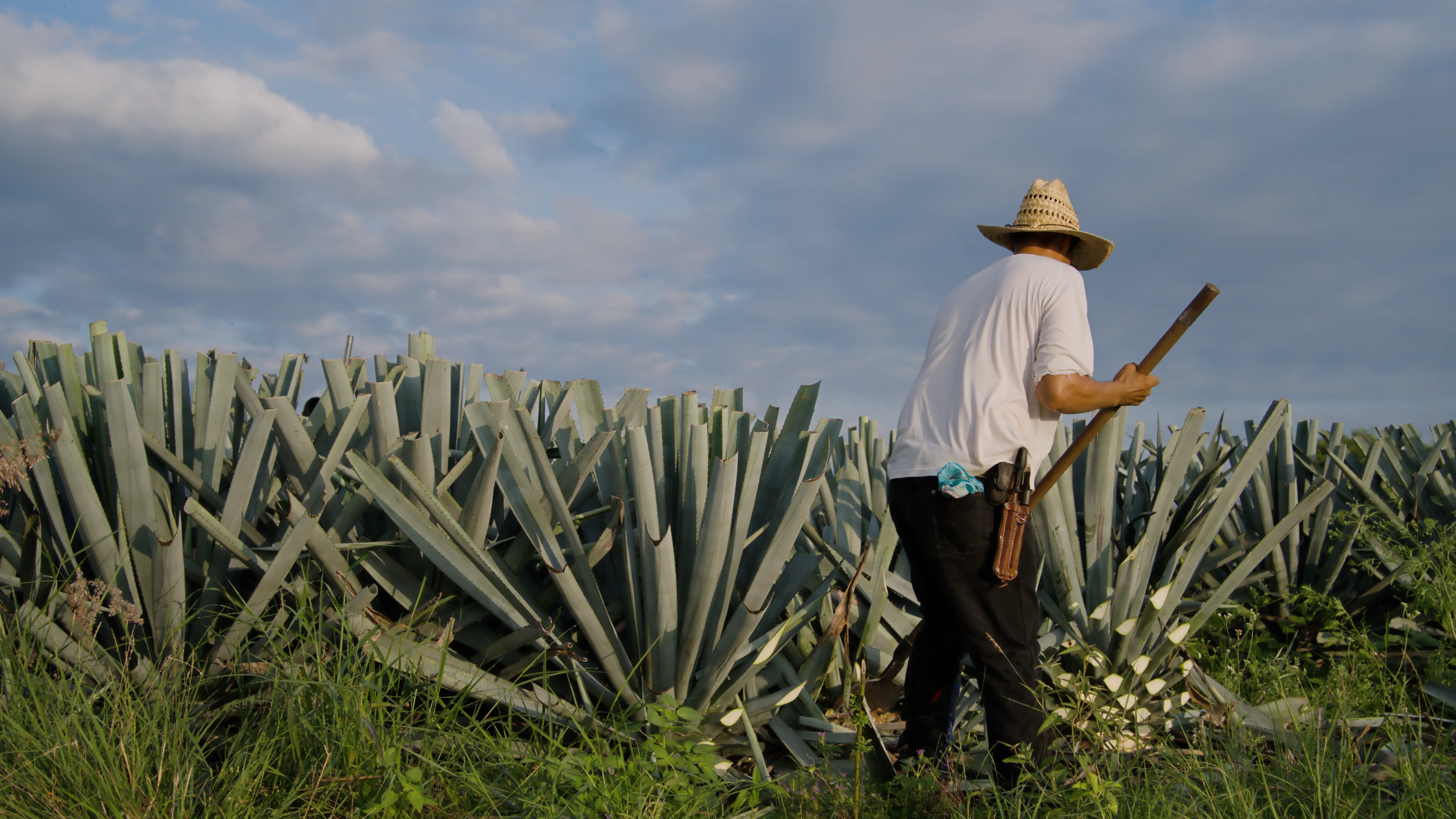 Zdjęcie z programu wyjazdu