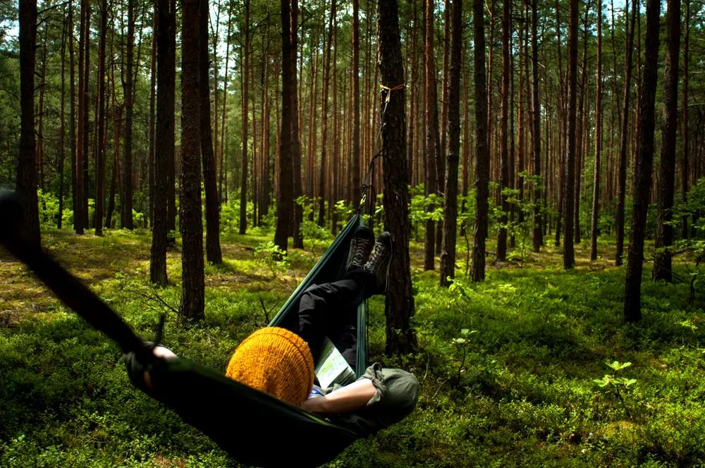 Zdjęcie z programu wyjazdu