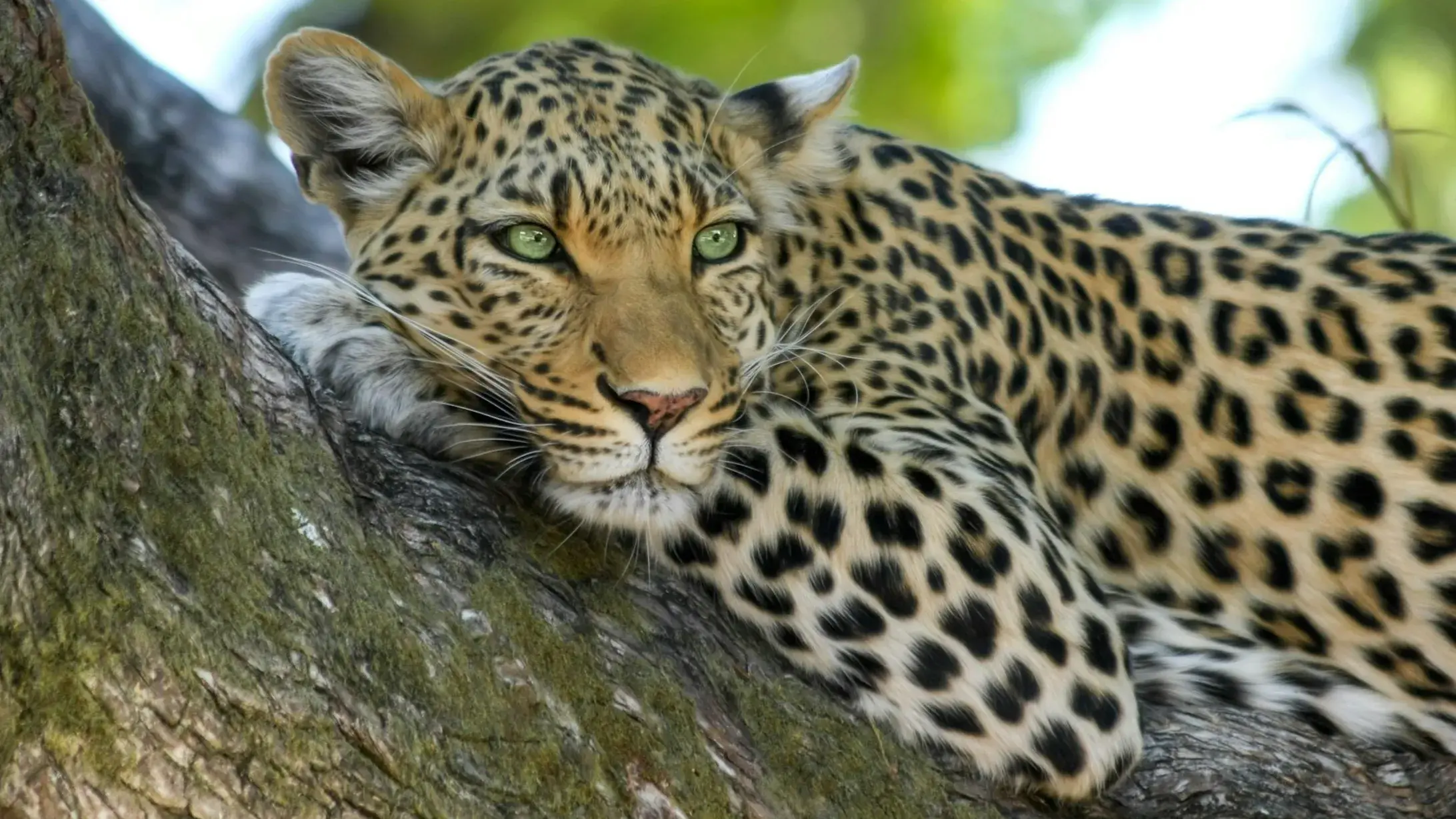 Zdjęcie z programu wyjazdu