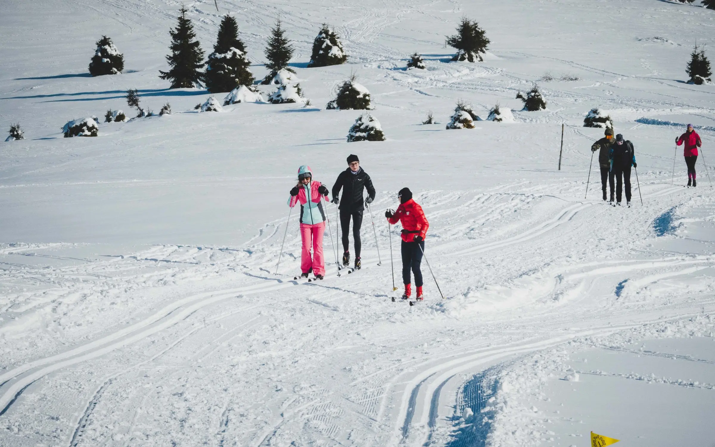 Zdjęcie z programu wyjazdu