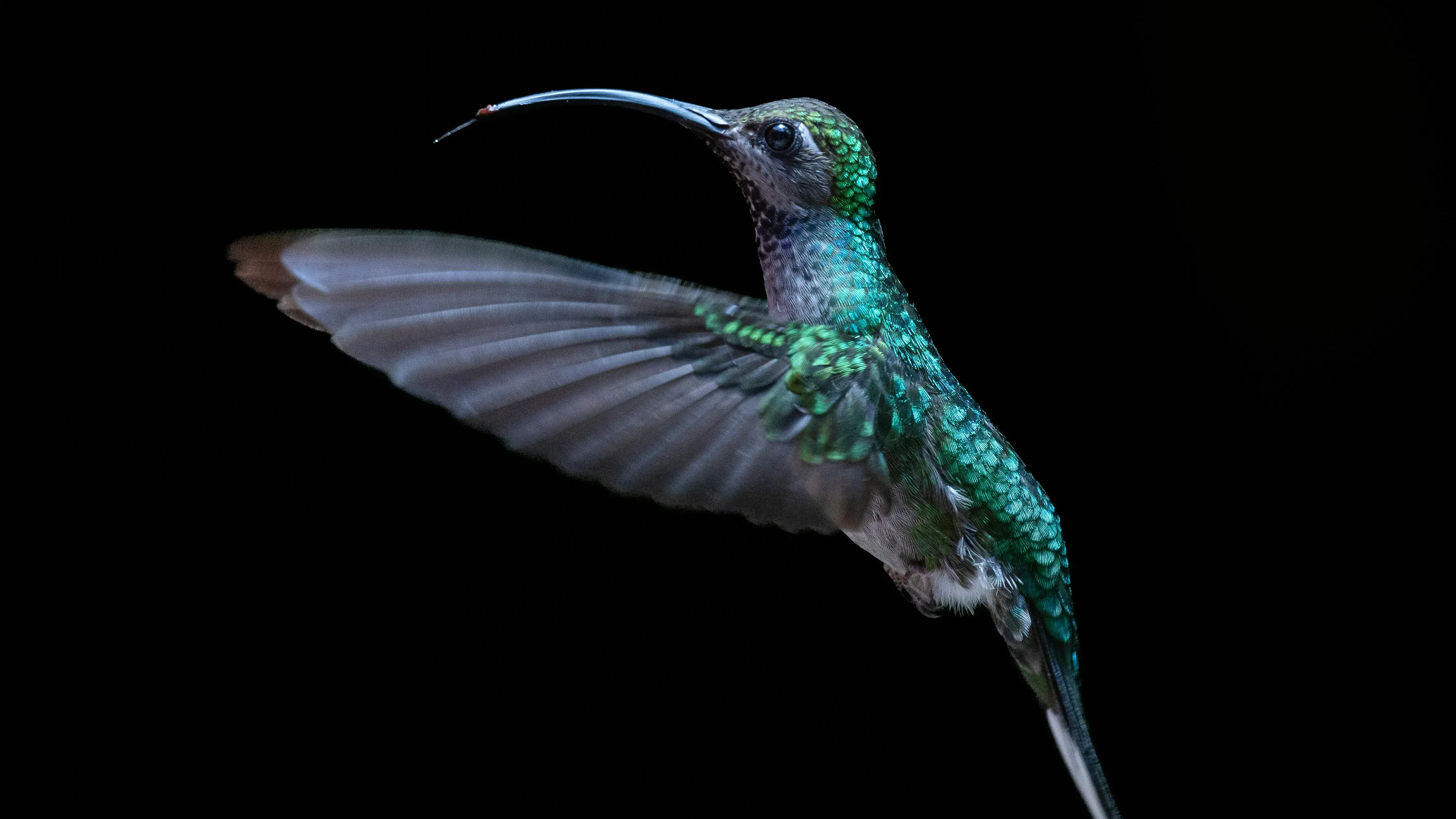 Zdjęcie z programu wyjazdu