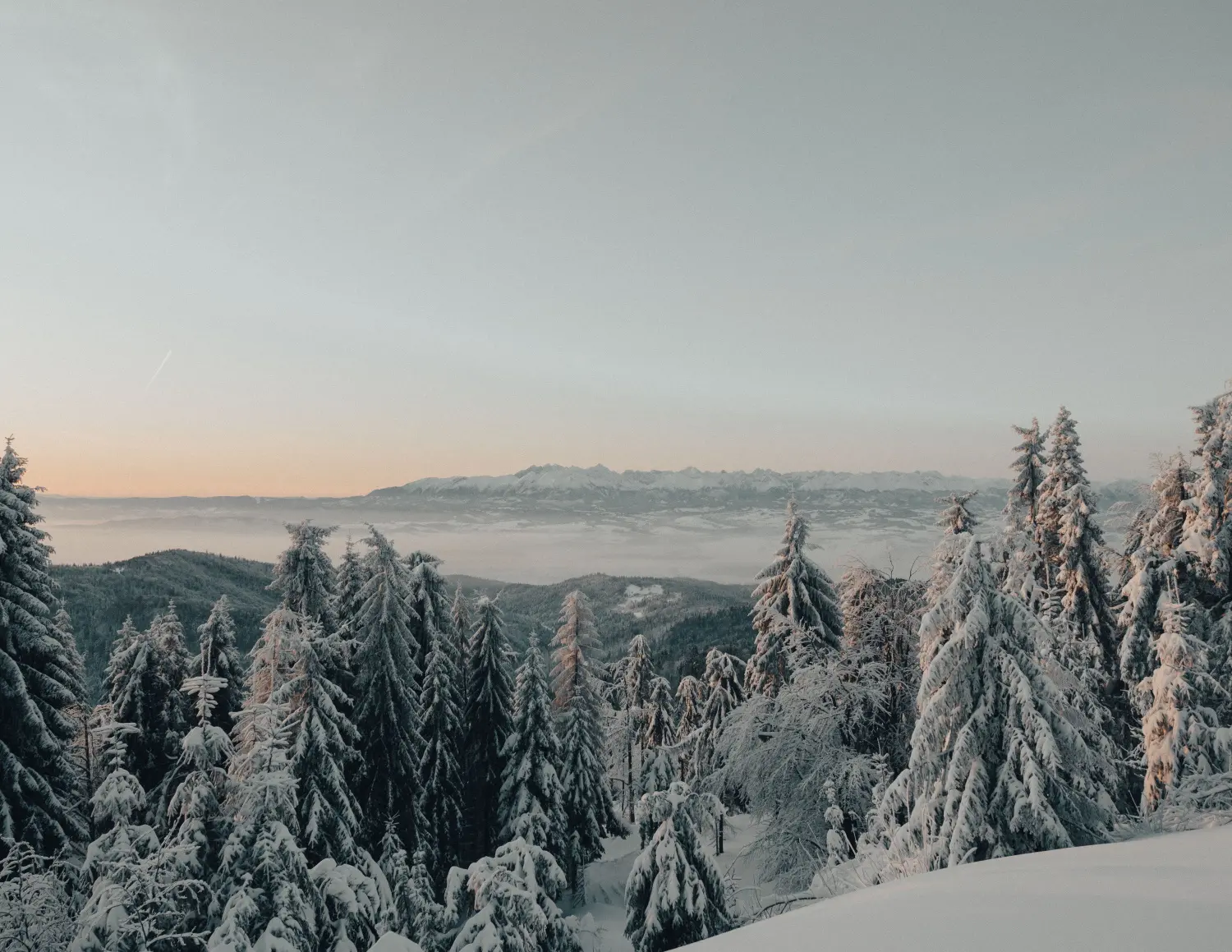 Zdjęcie z programu wyjazdu
