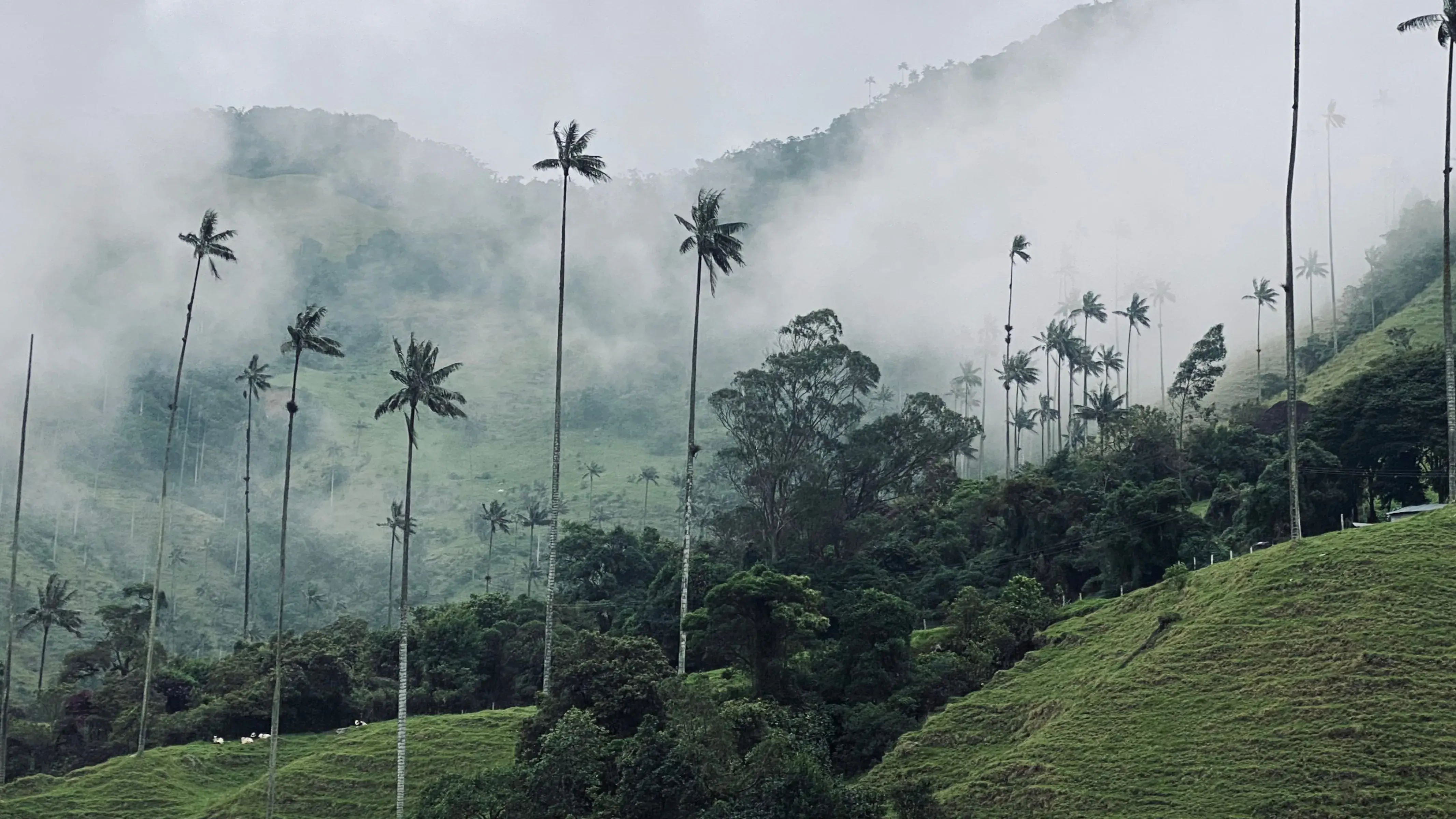 Zdjęcie z programu wyjazdu