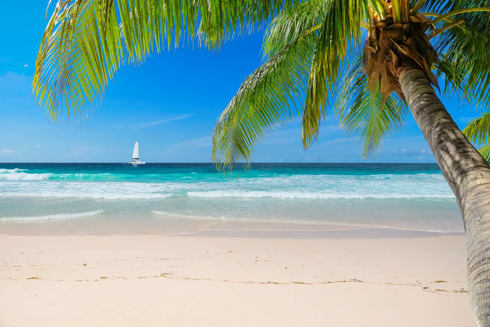 Zdjęcie z programu wyjazdu