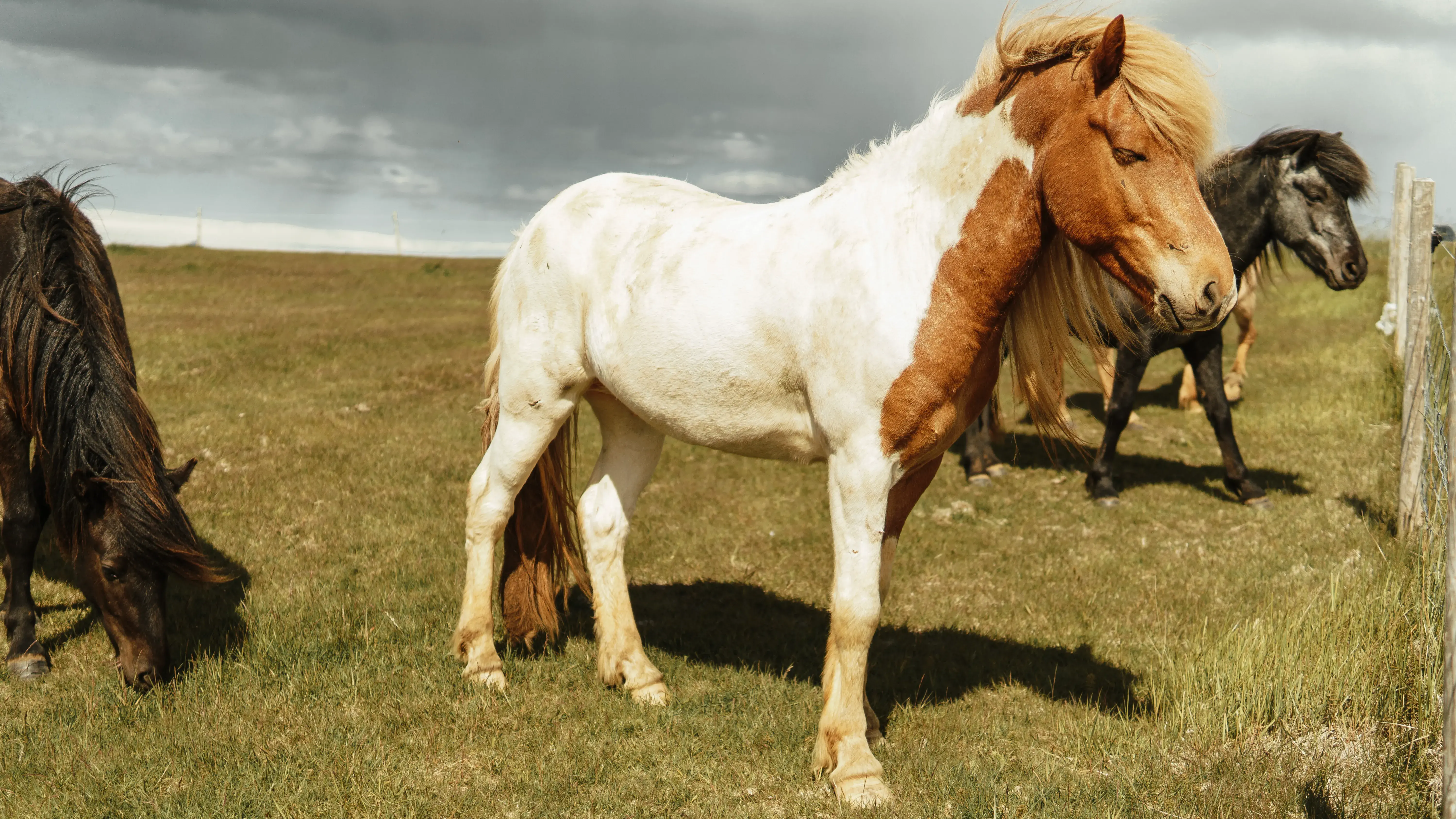 Zdjęcie z programu wyjazdu