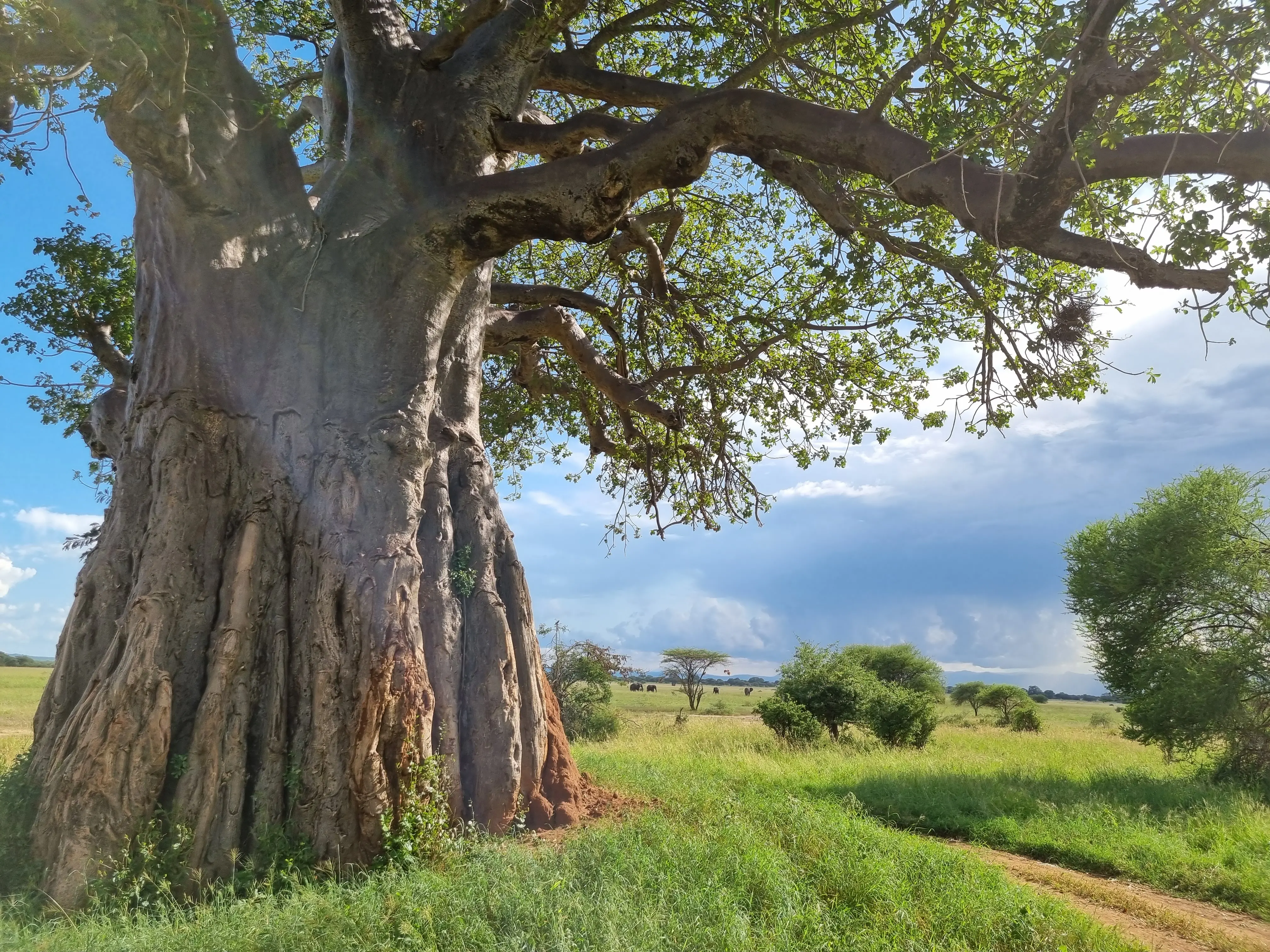 Zdjęcie z programu wyjazdu