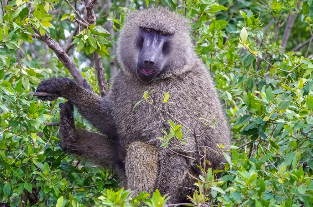 Zdjęcie z programu wyjazdu