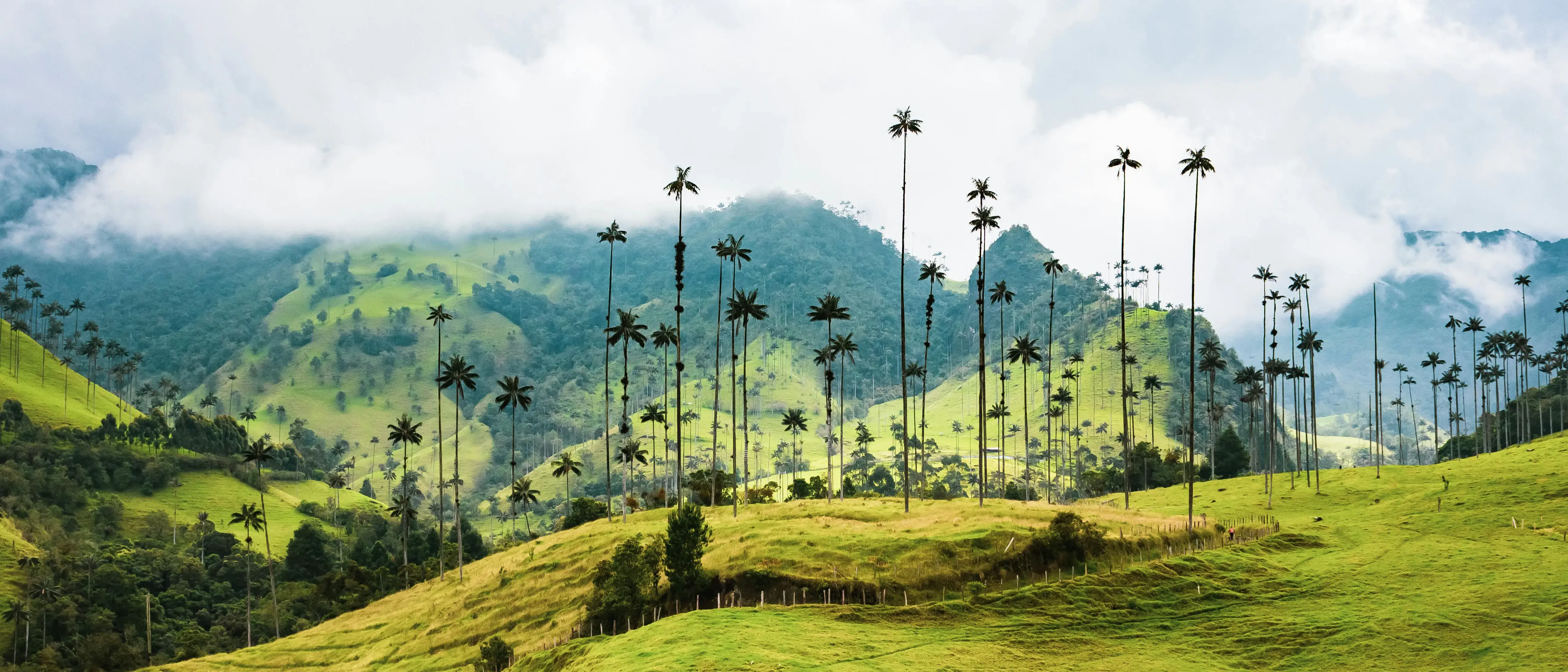 Zdjęcie z programu wyjazdu