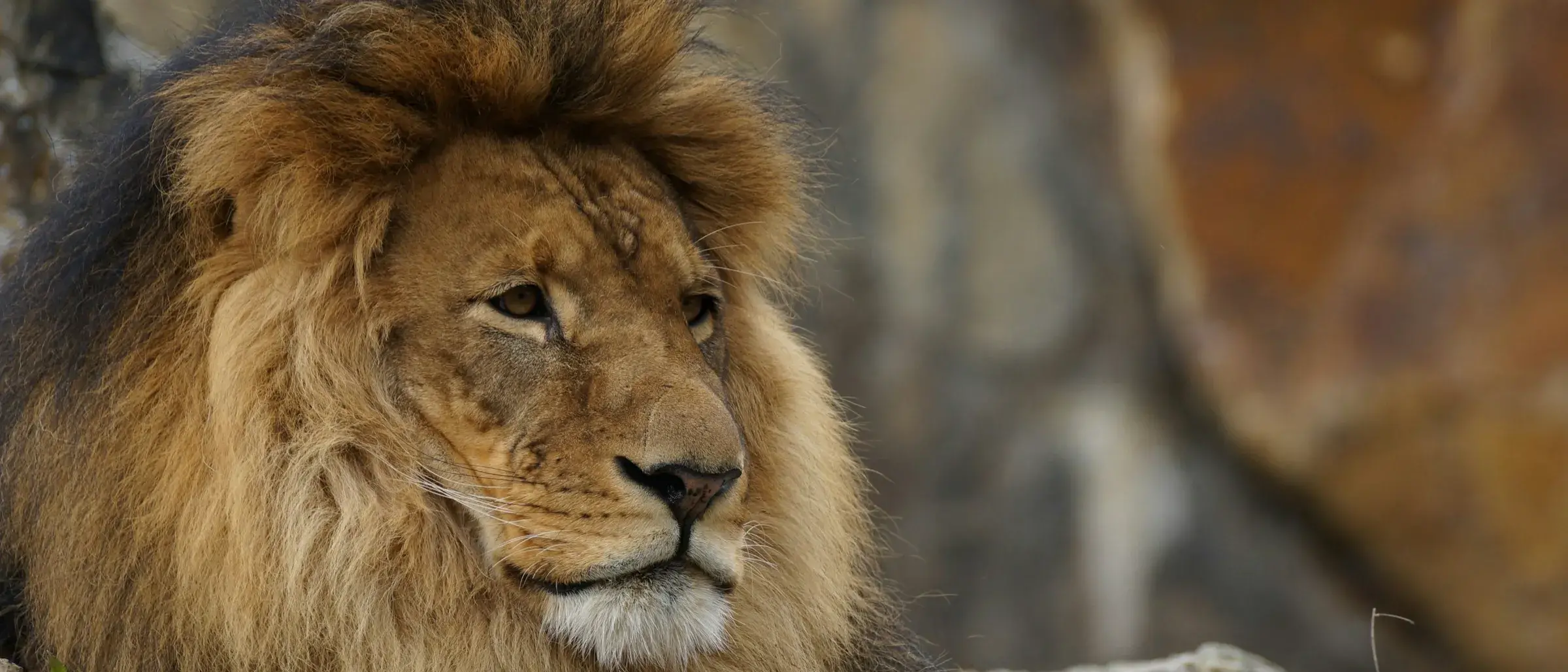 Zdjęcie z programu wyjazdu