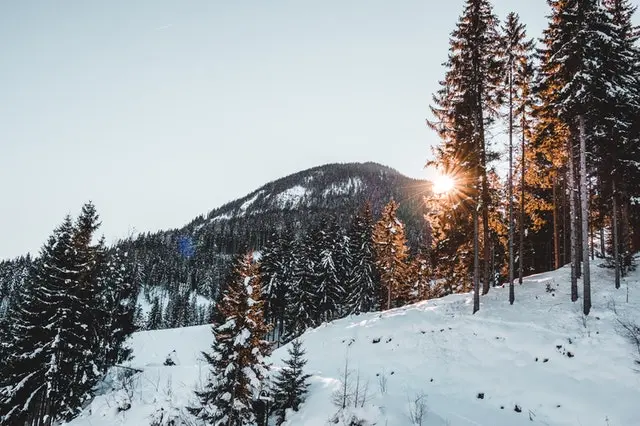Zdjęcie z programu wyjazdu