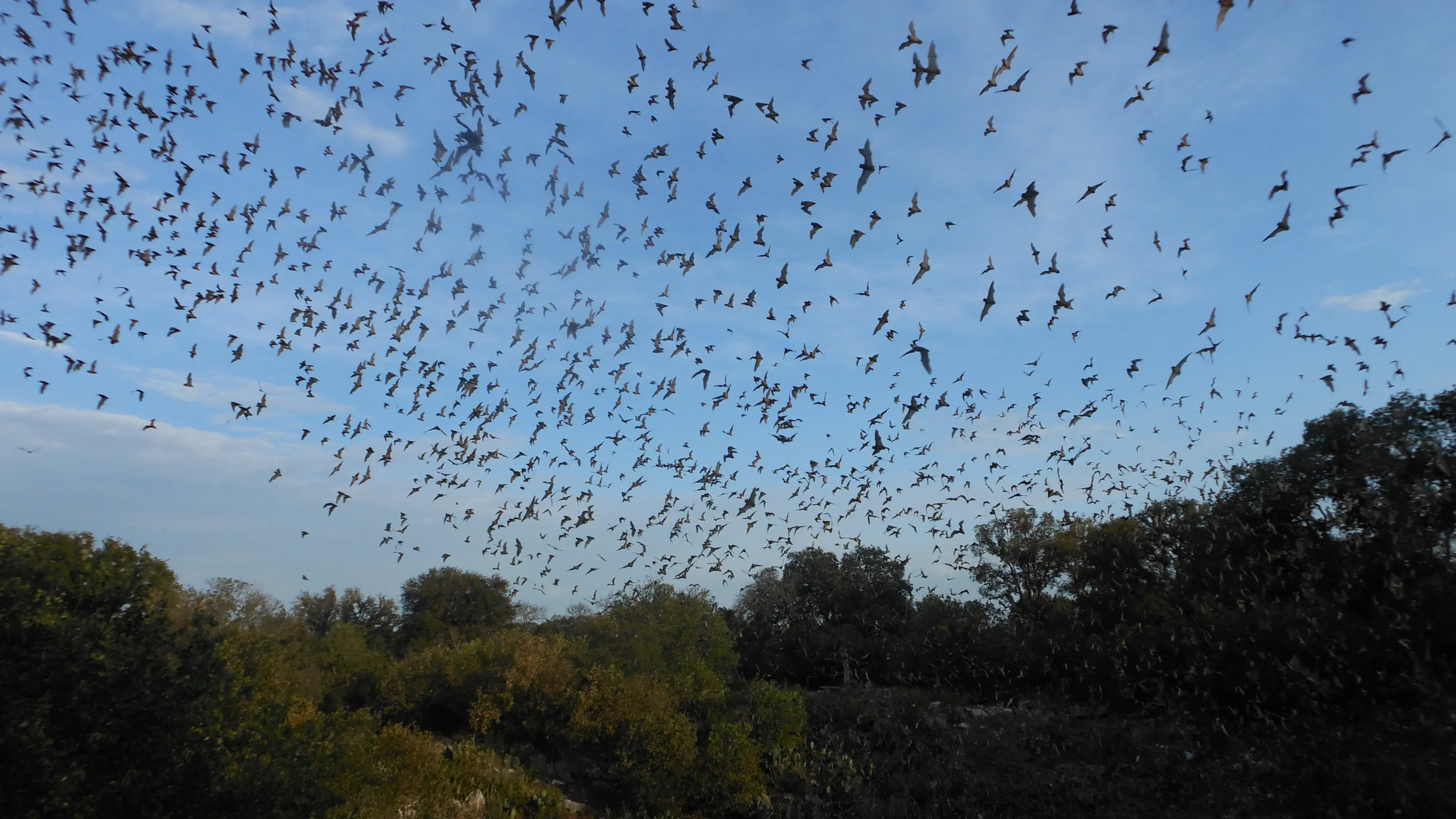 Zdjęcie z programu wyjazdu
