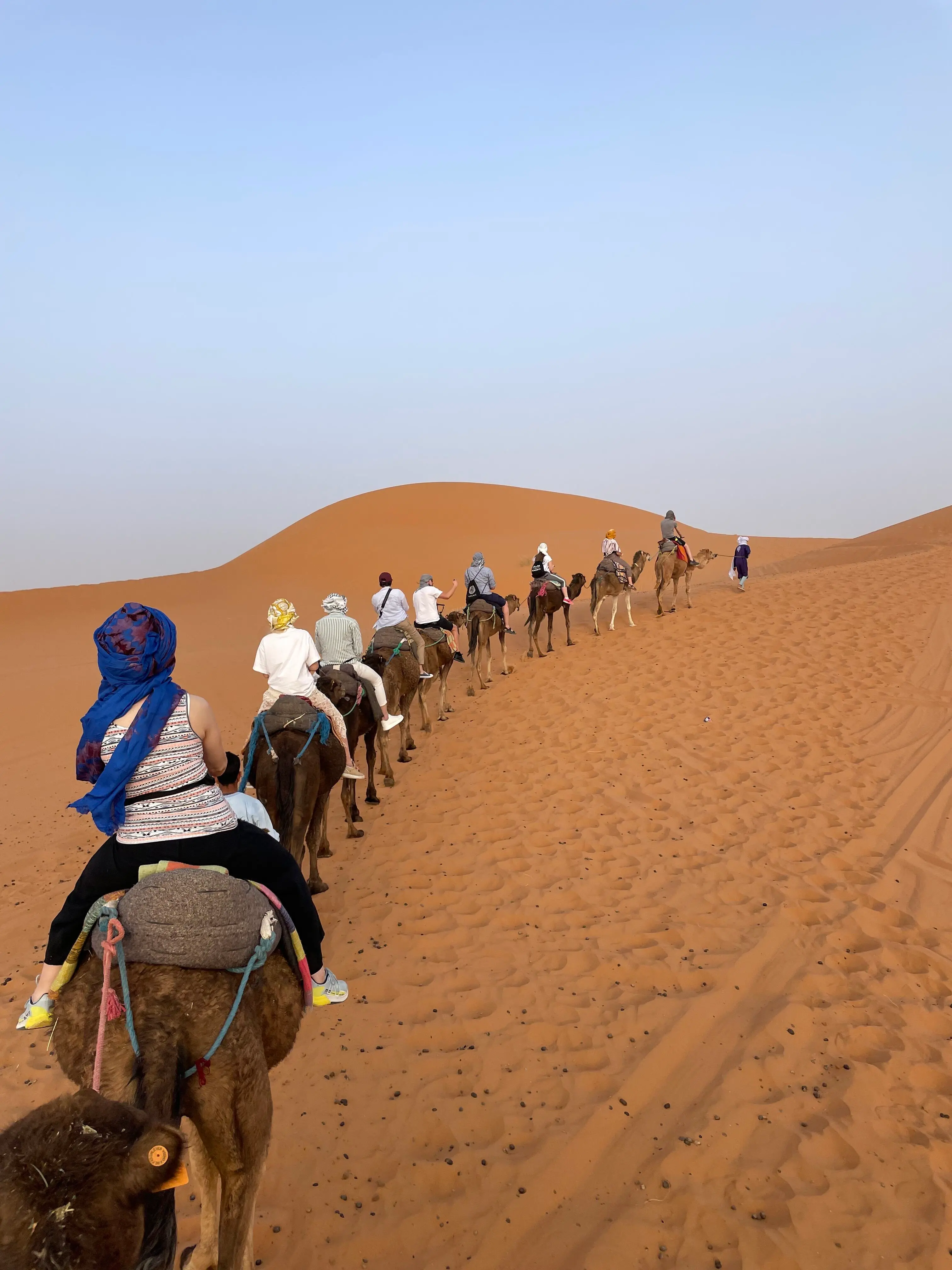 Zdjęcie z programu wyjazdu