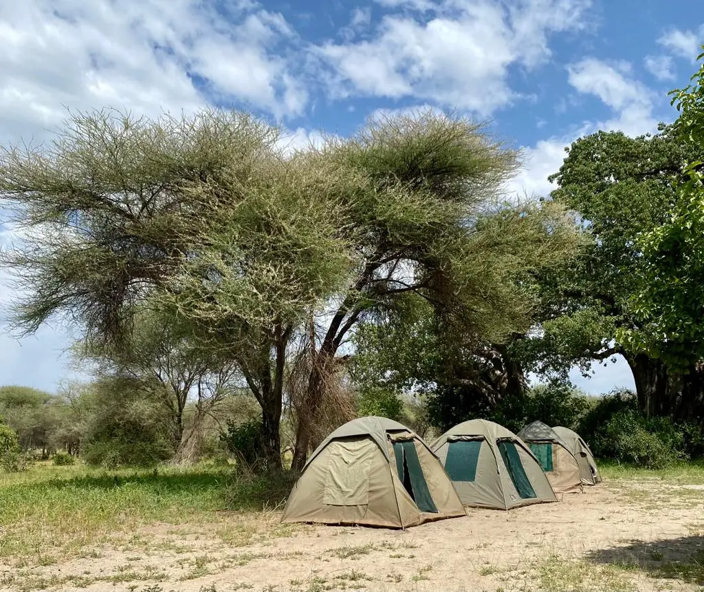 Zdjęcie z programu wyjazdu