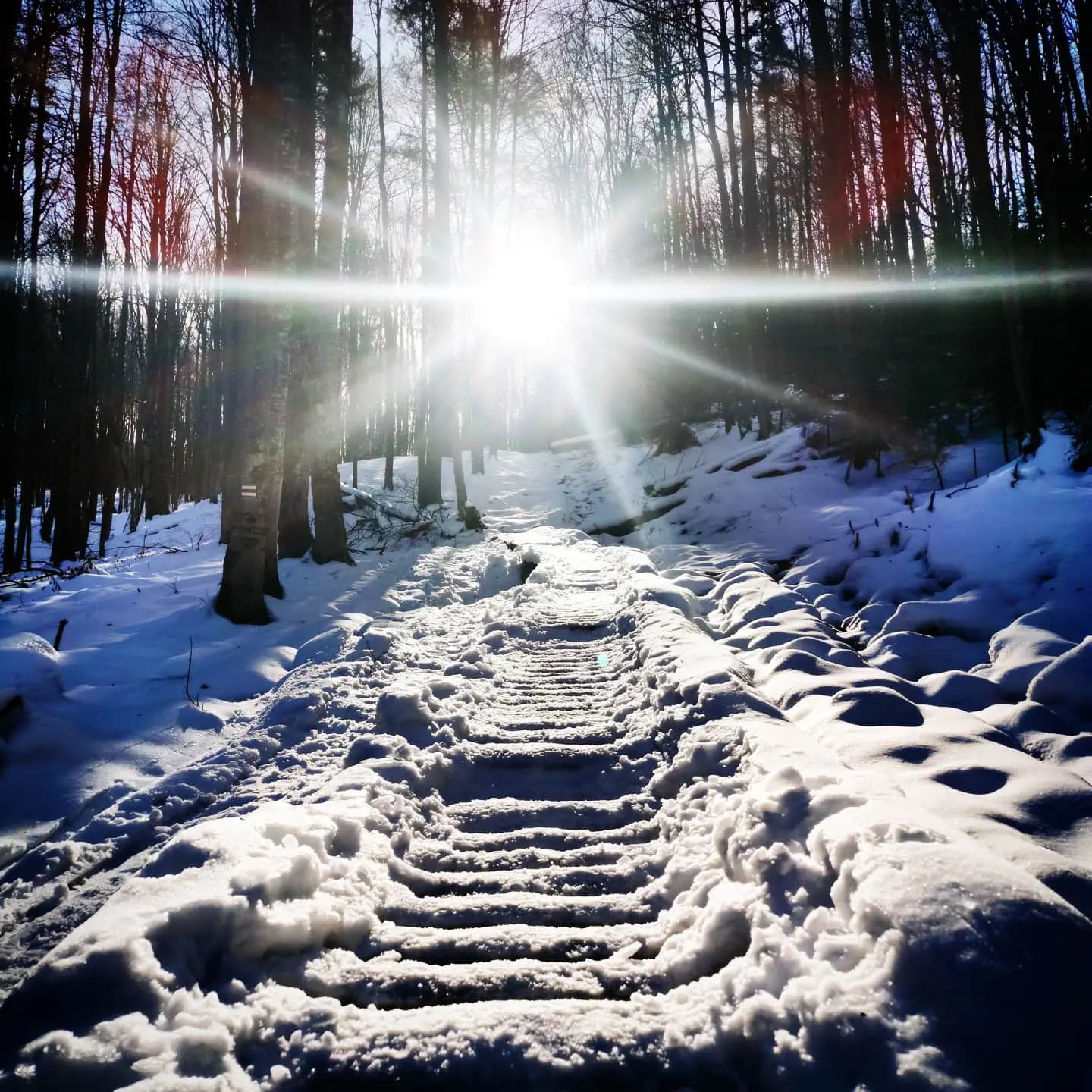 Zdjęcie z programu wyjazdu