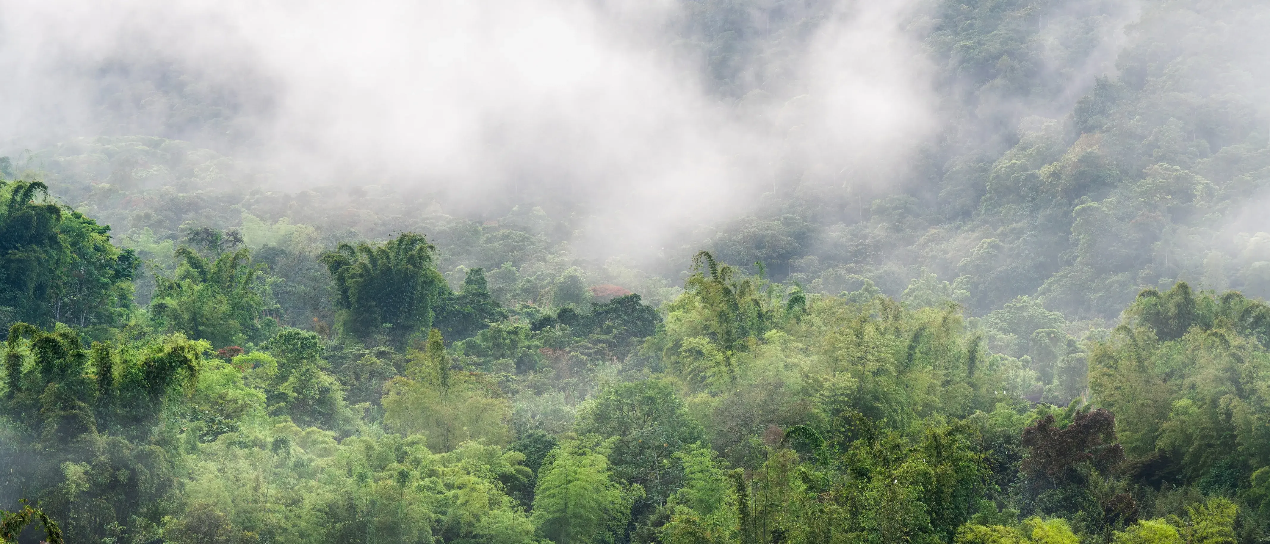 Zdjęcie z programu wyjazdu