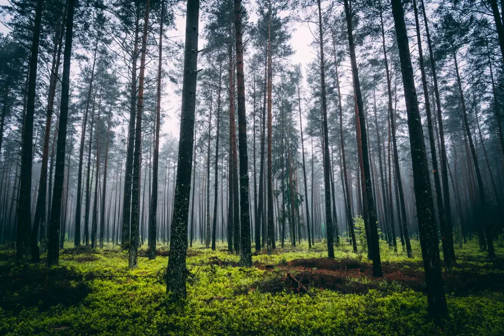 Zdjęcie z programu wyjazdu