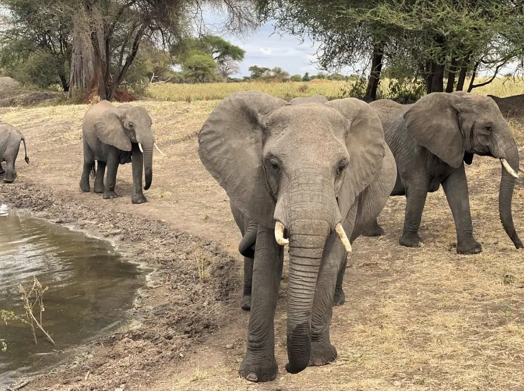 Zdjęcie z programu wyjazdu