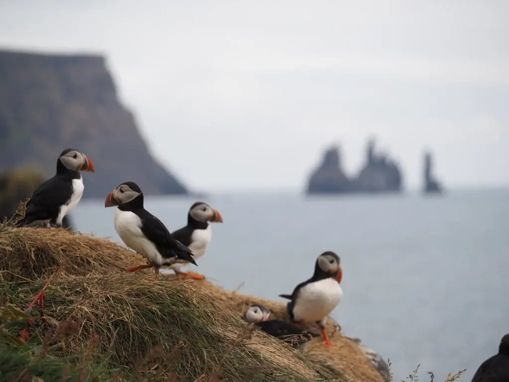 Zdjęcie z programu wyjazdu