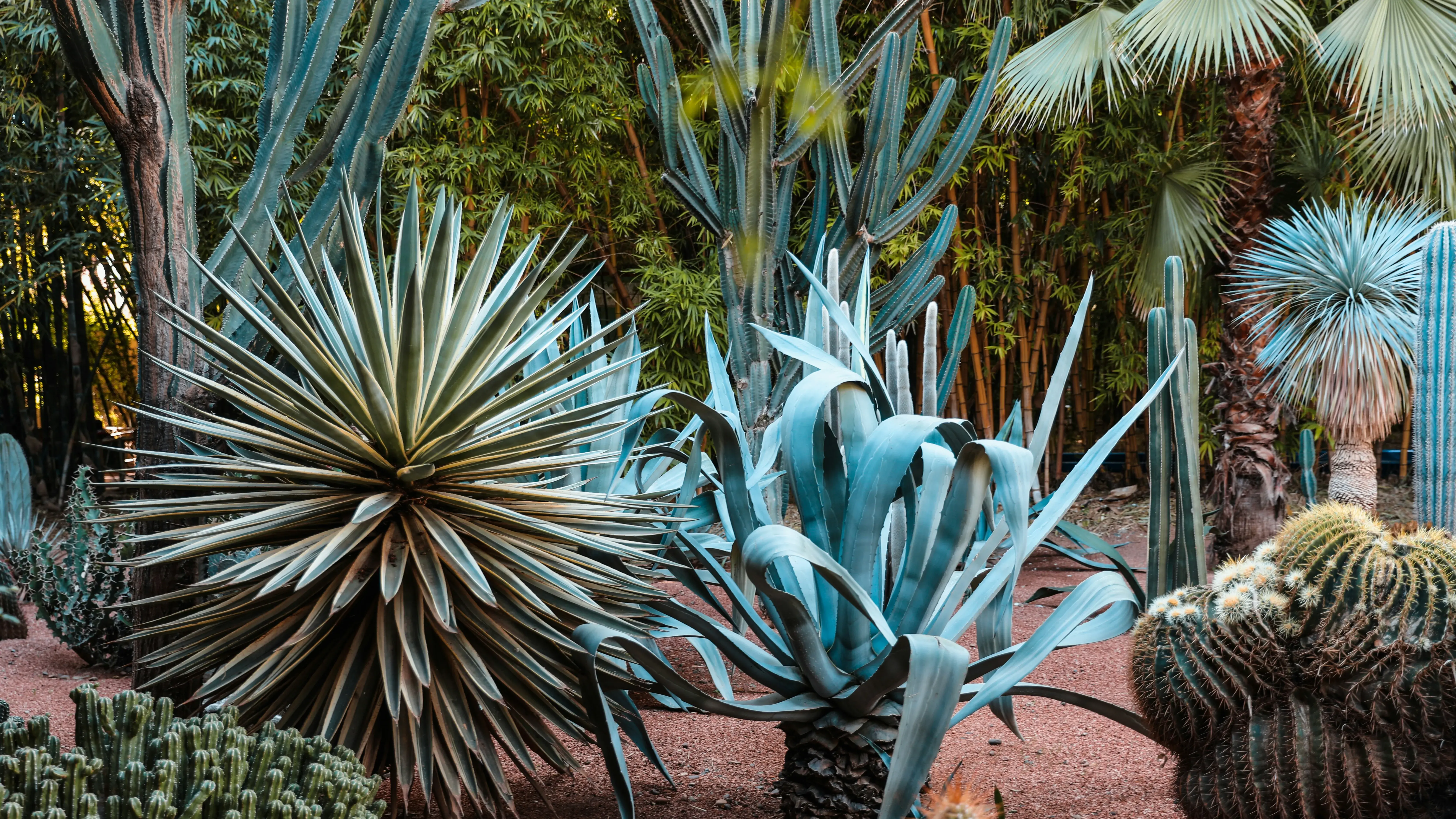 Zdjęcie z programu wyjazdu