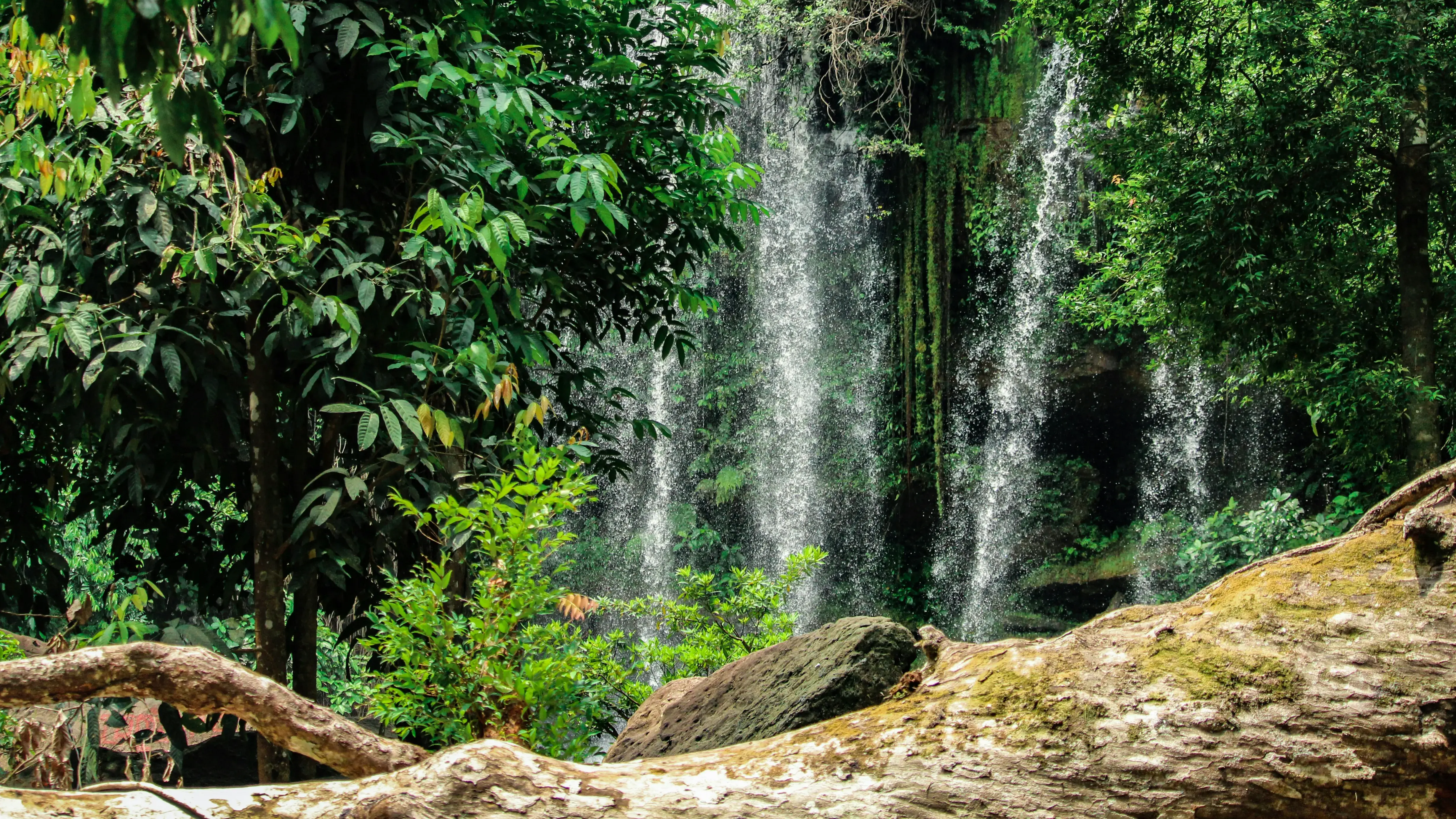 Zdjęcie z programu wyjazdu