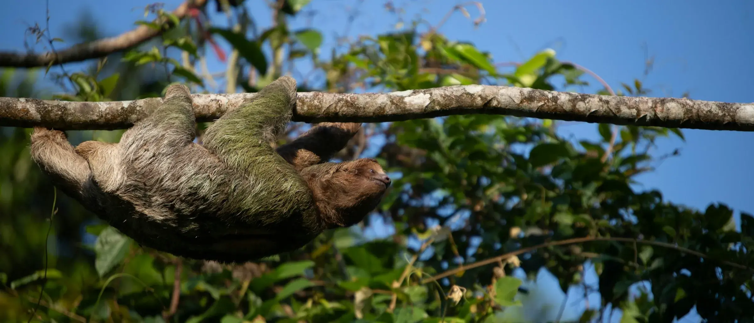 Zdjęcie z programu wyjazdu