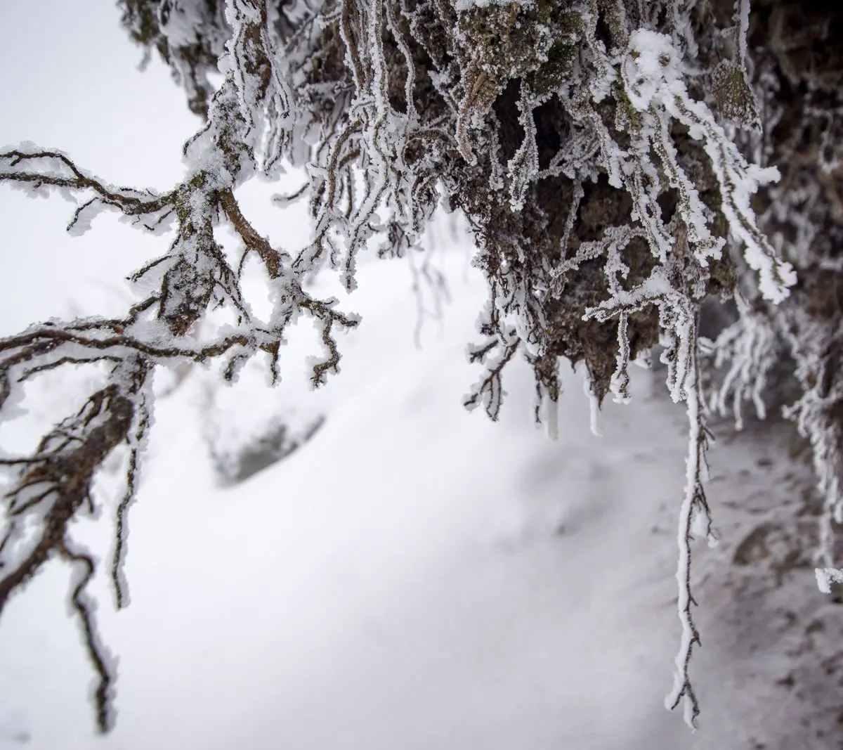 Zdjęcie z programu wyjazdu