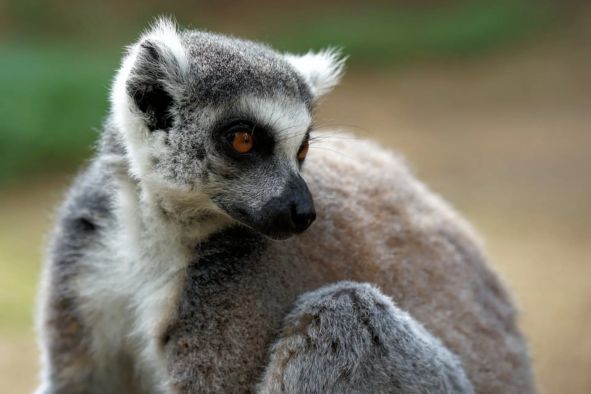 Zdjęcie z programu wyjazdu