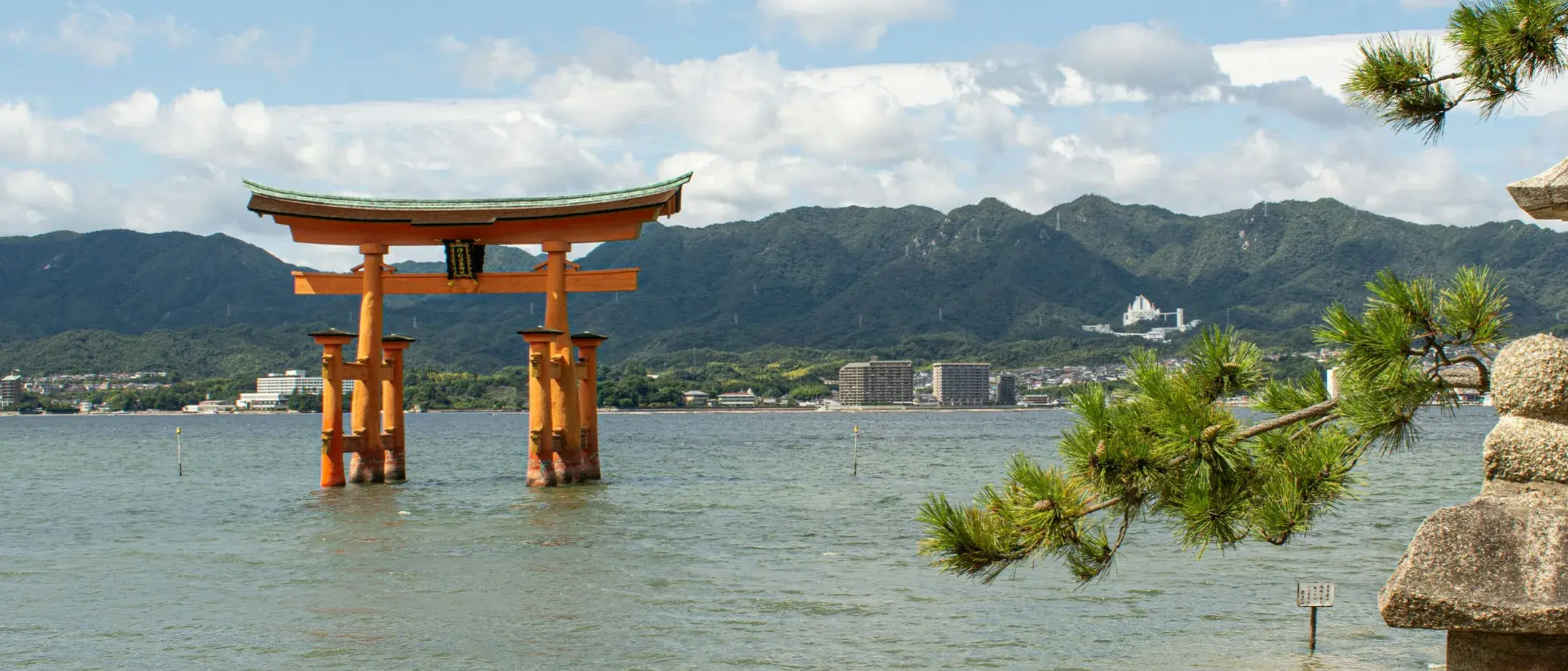 Zdjęcie z programu wyjazdu