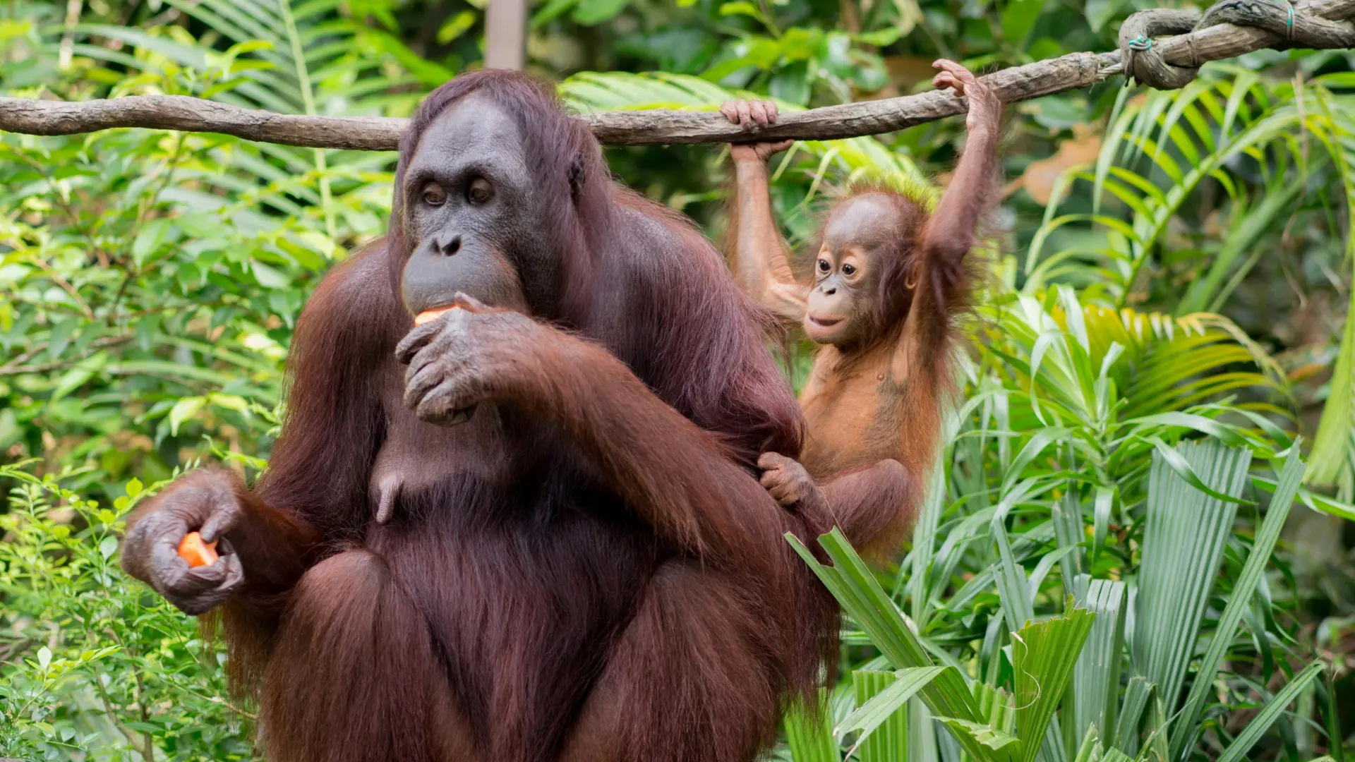 Zdjęcie z programu wyjazdu