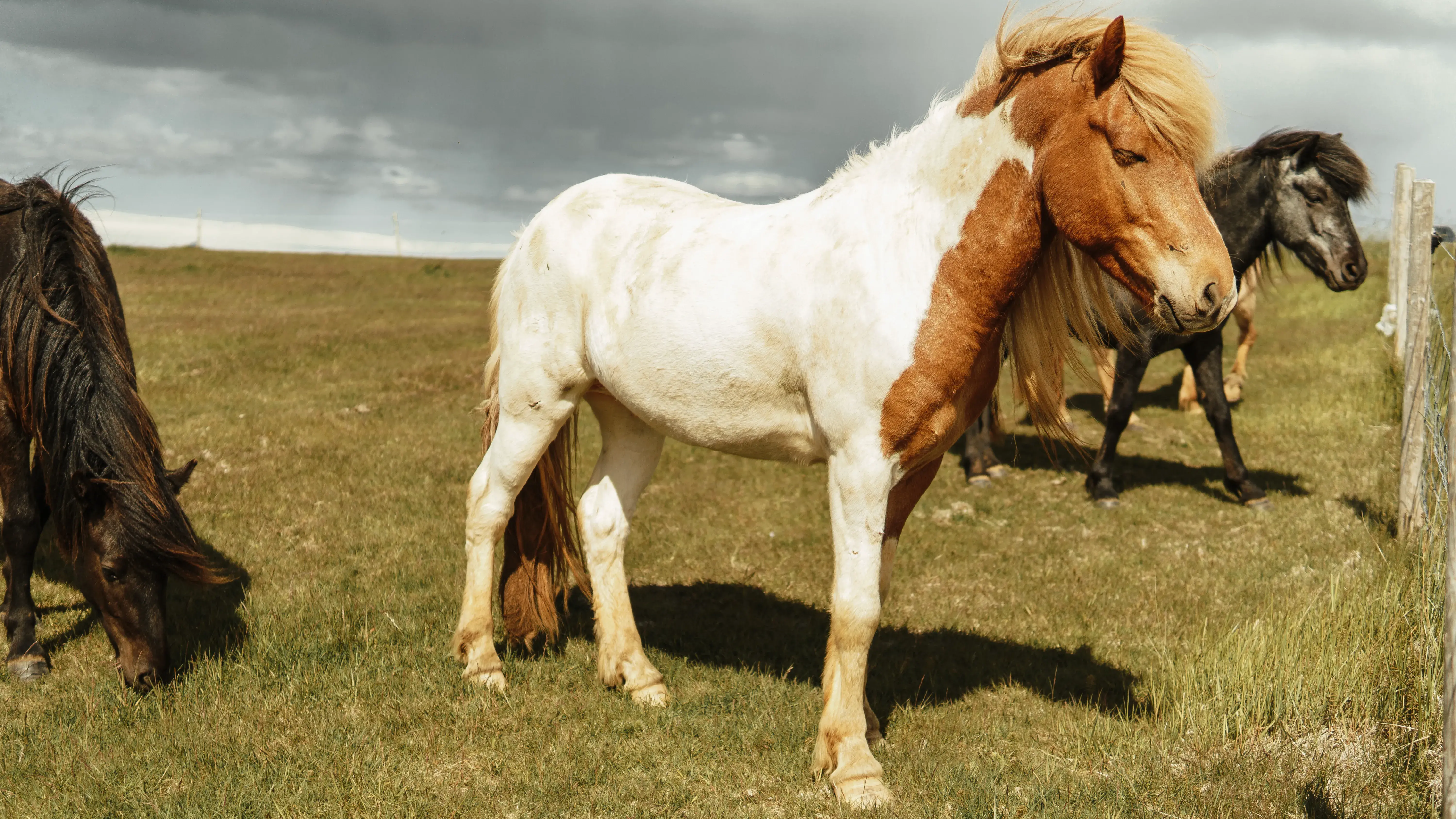 Zdjęcie z programu wyjazdu