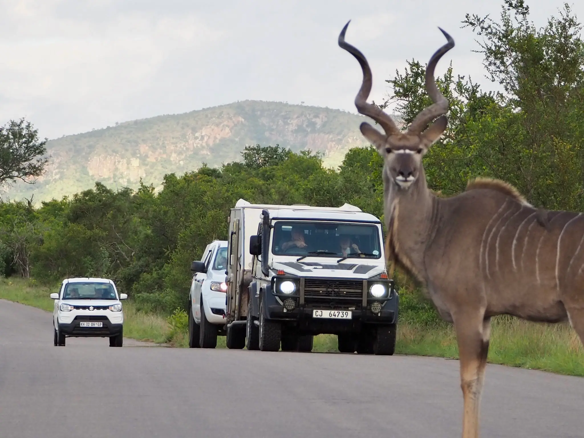 Zdjęcie z programu wyjazdu