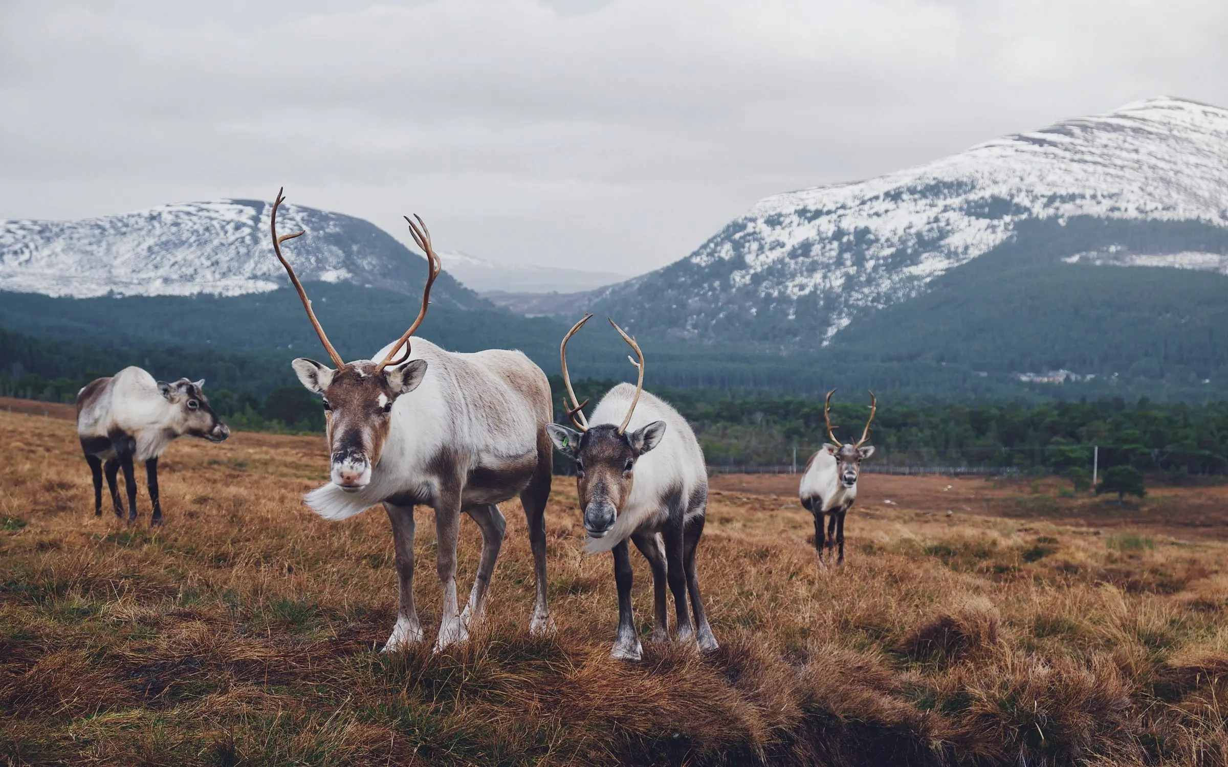Zdjęcie z programu wyjazdu
