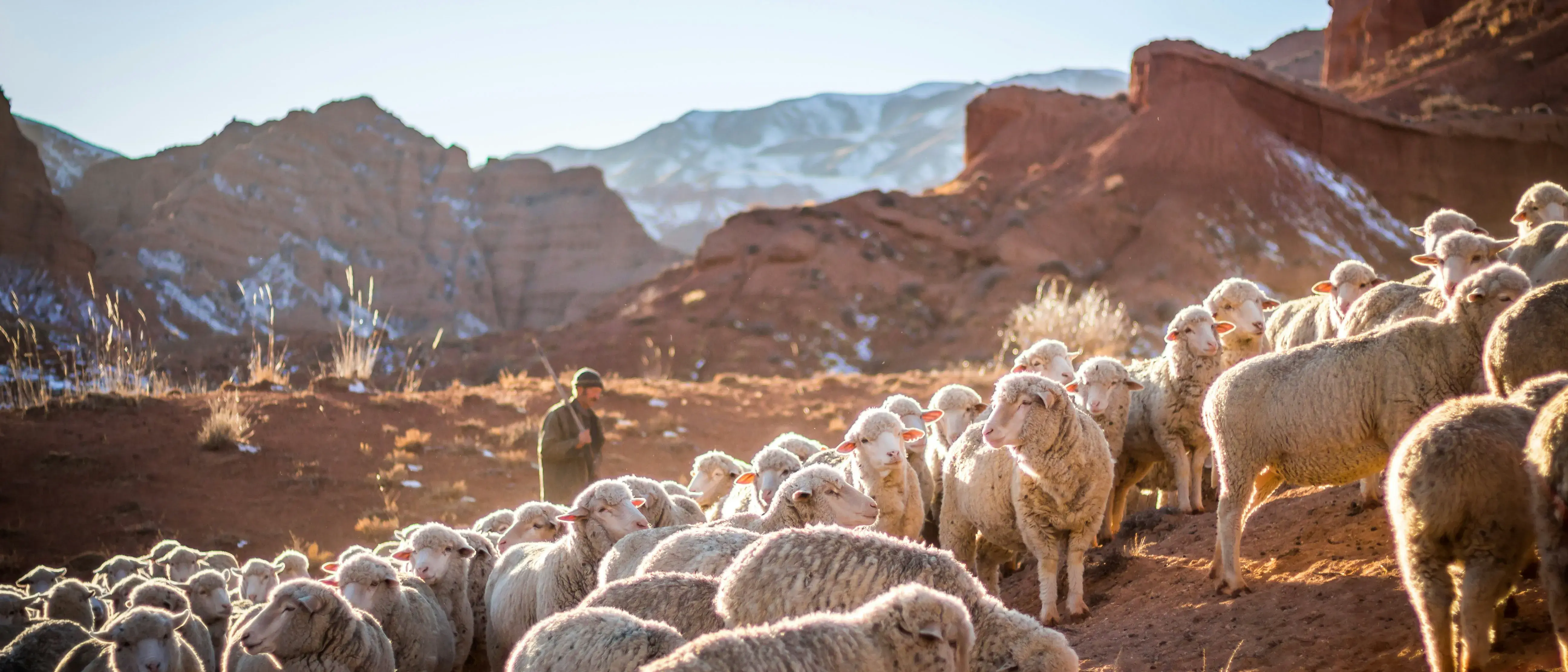 Zdjęcie z programu wyjazdu