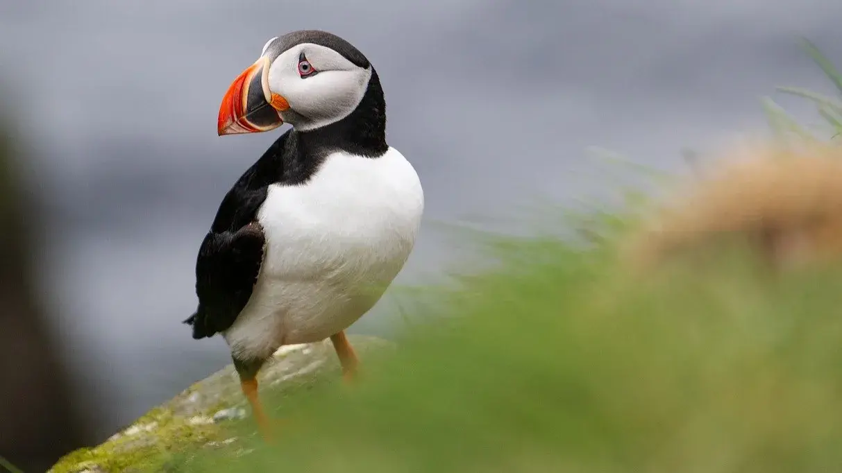 Zdjęcie z programu wyjazdu