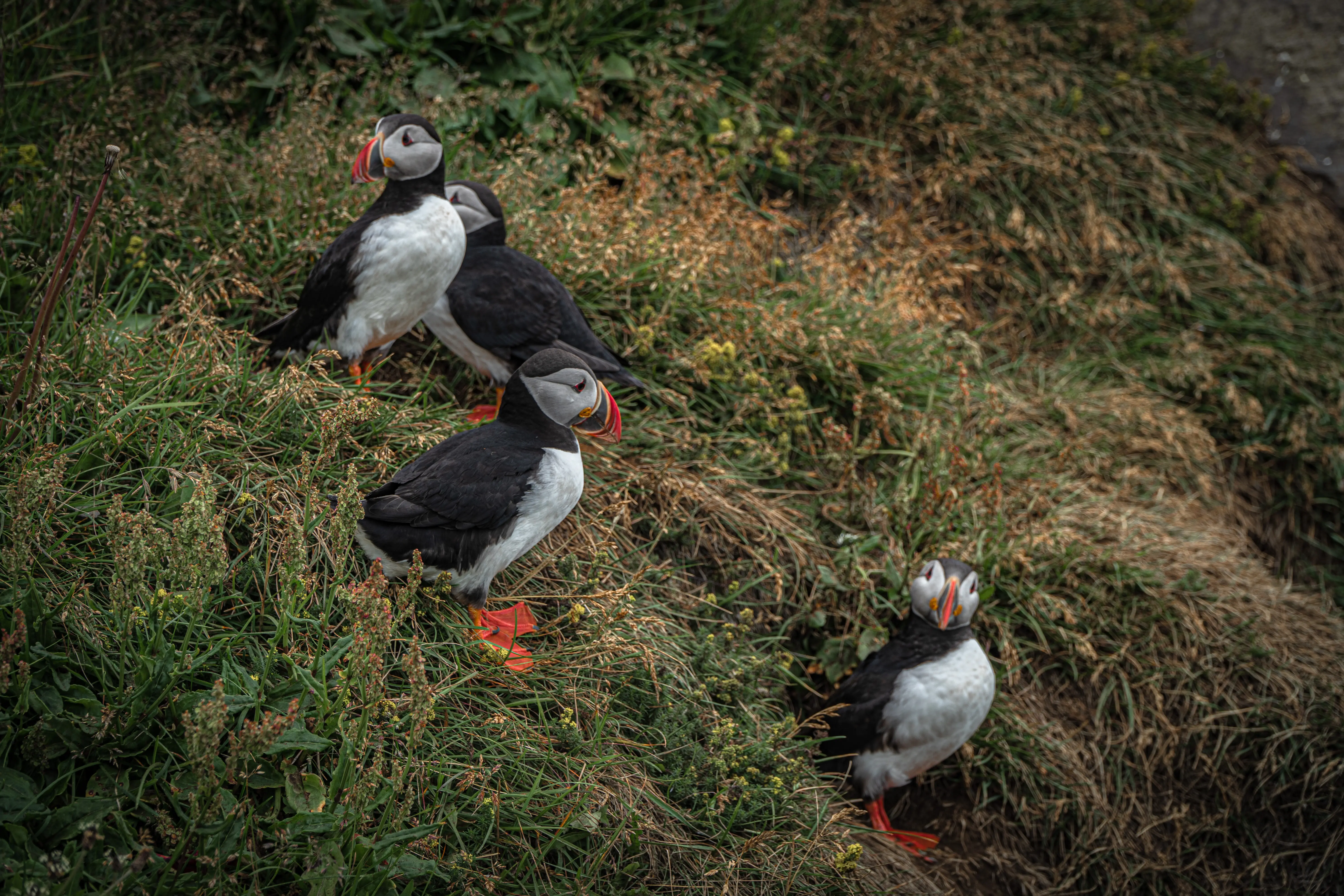 Zdjęcie z programu wyjazdu