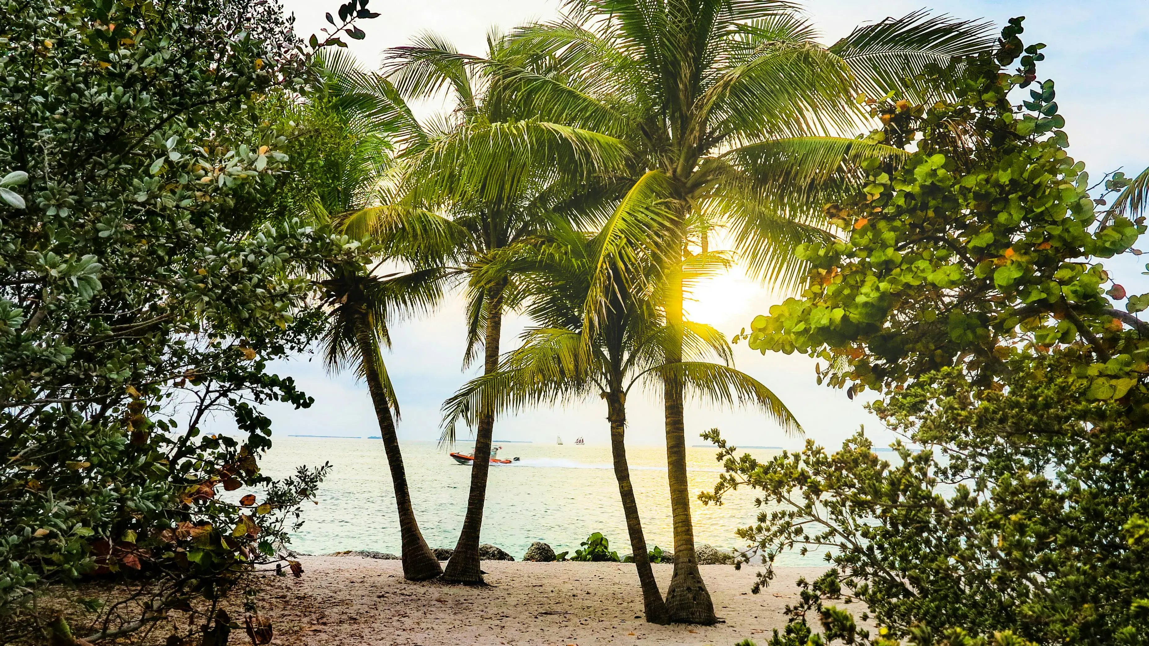 Zdjęcie z programu wyjazdu