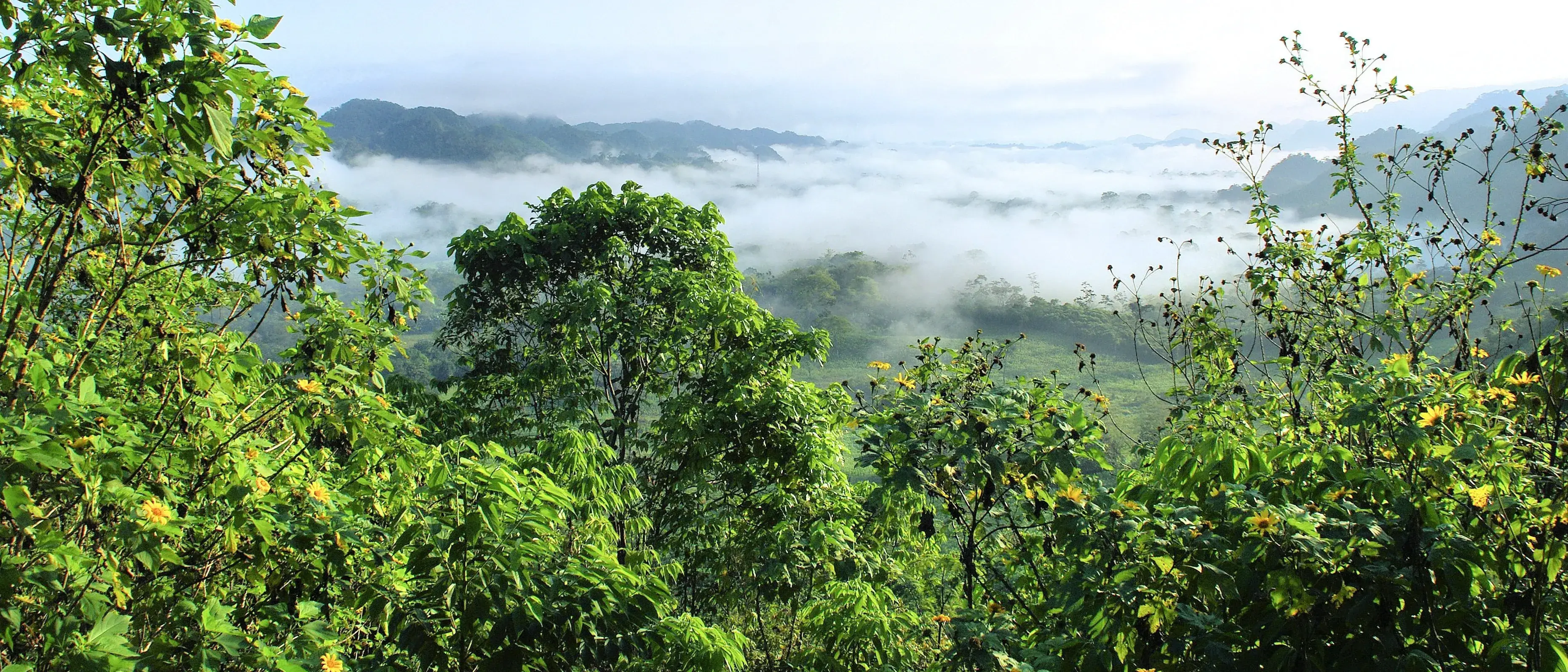 Zdjęcie z programu wyjazdu