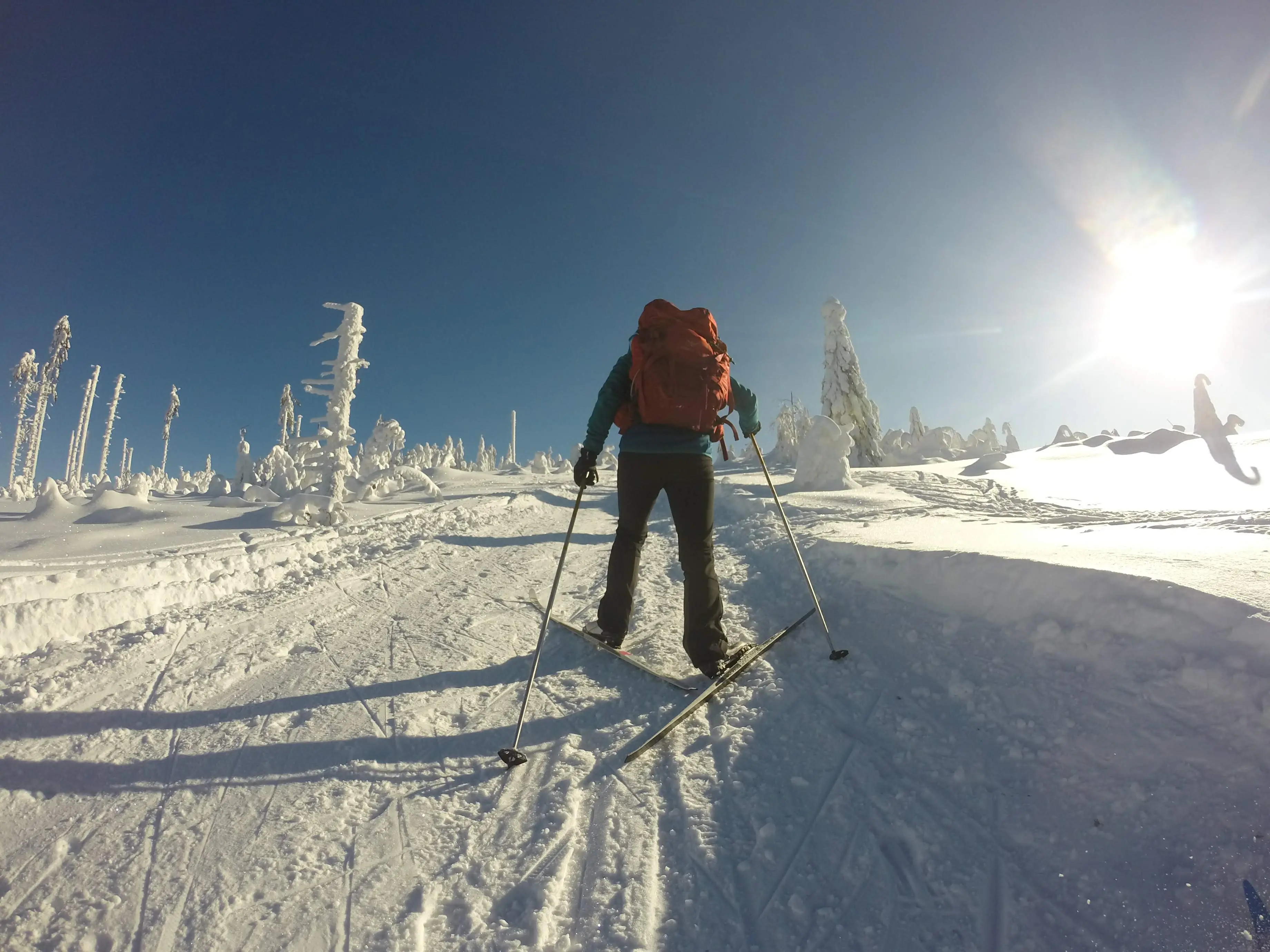 Zdjęcie z programu wyjazdu