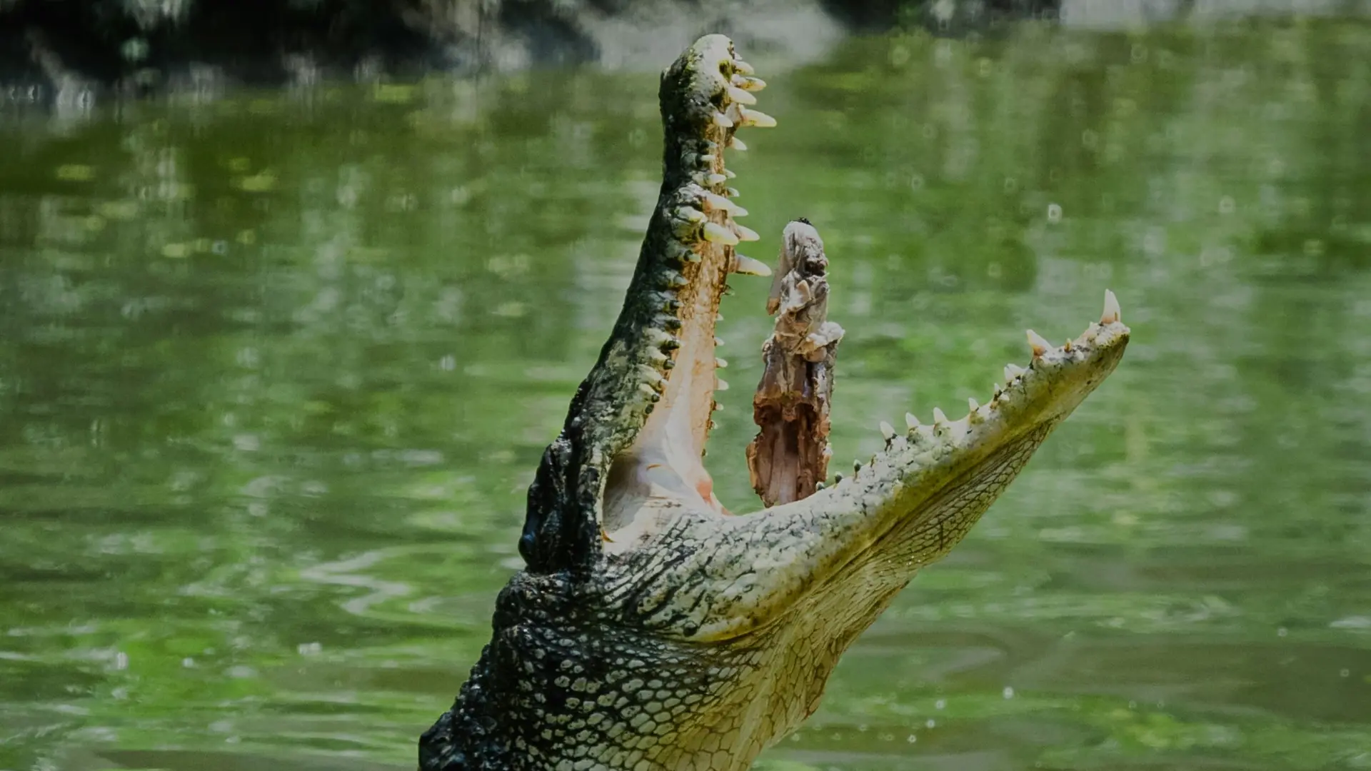 Zdjęcie z programu wyjazdu