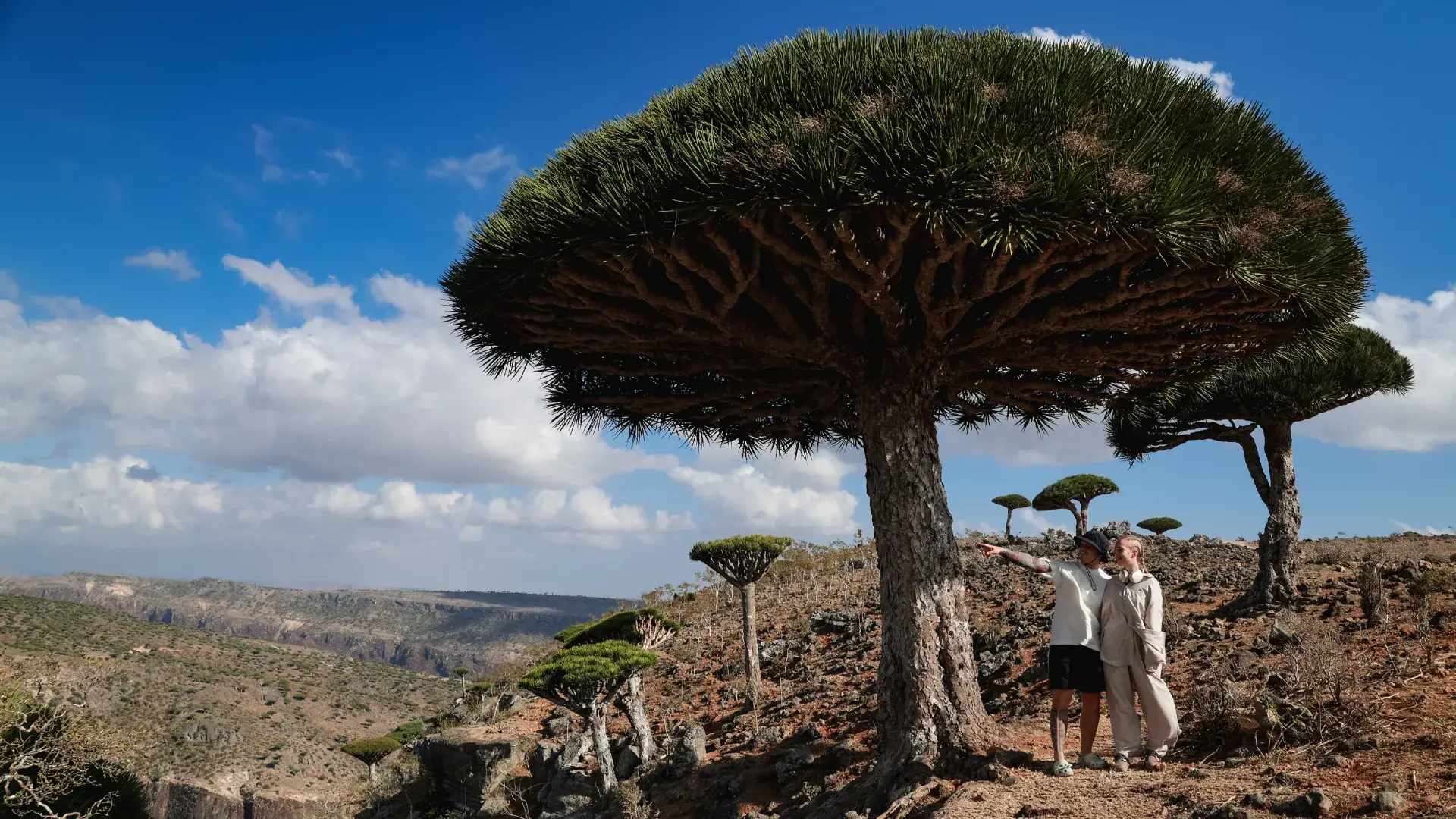 Zdjęcie z programu wyjazdu