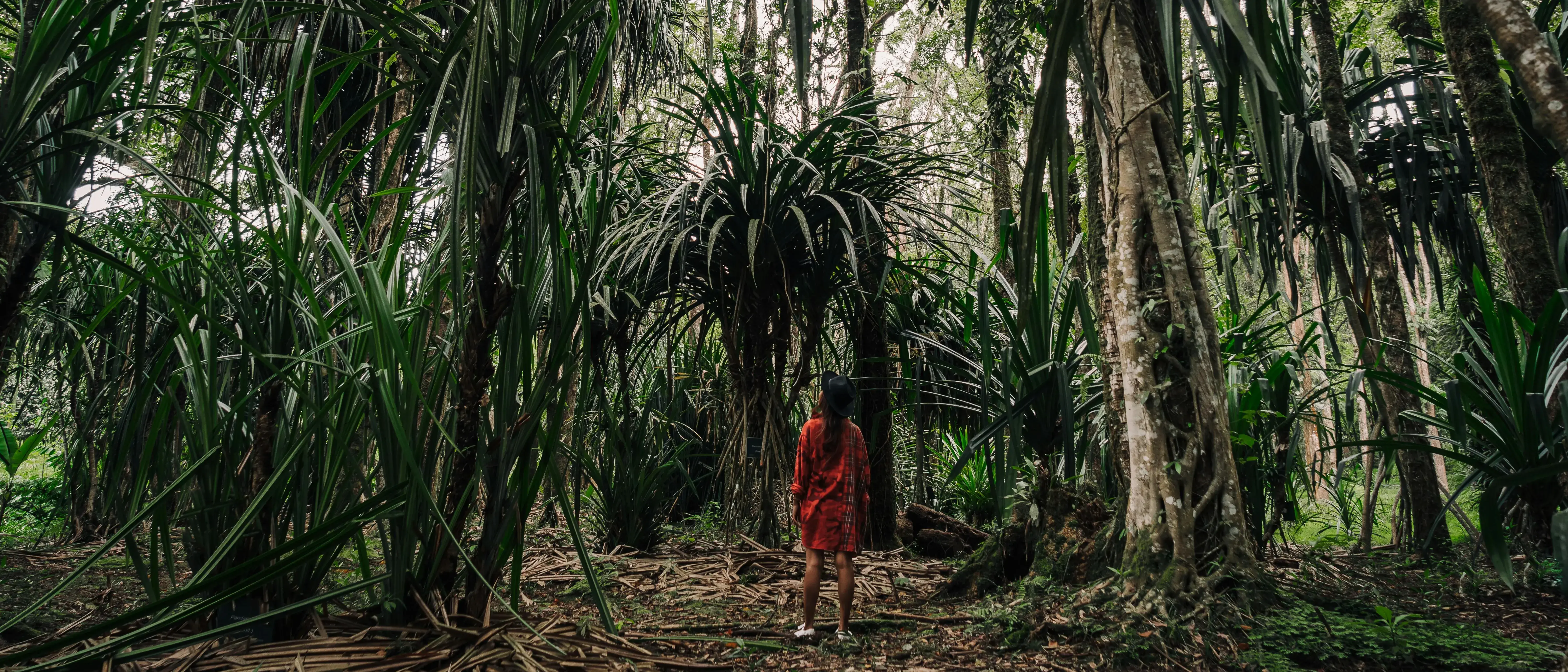 Zdjęcie z programu wyjazdu