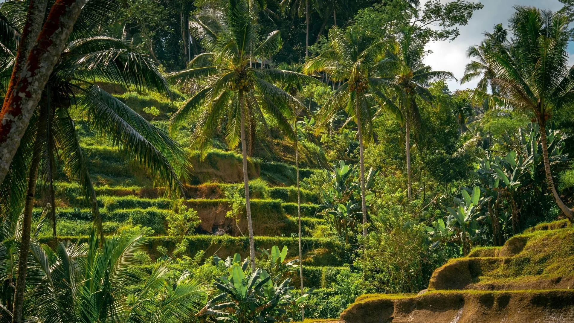 Zdjęcie z programu wyjazdu