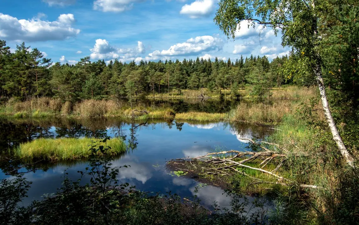 Zdjęcie z programu wyjazdu