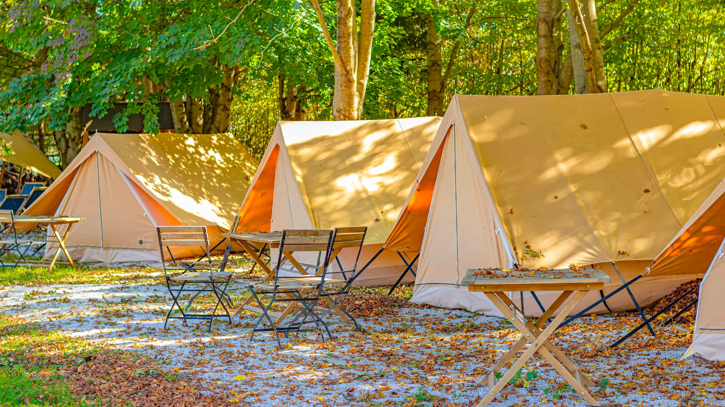 Zdjęcie z programu wyjazdu