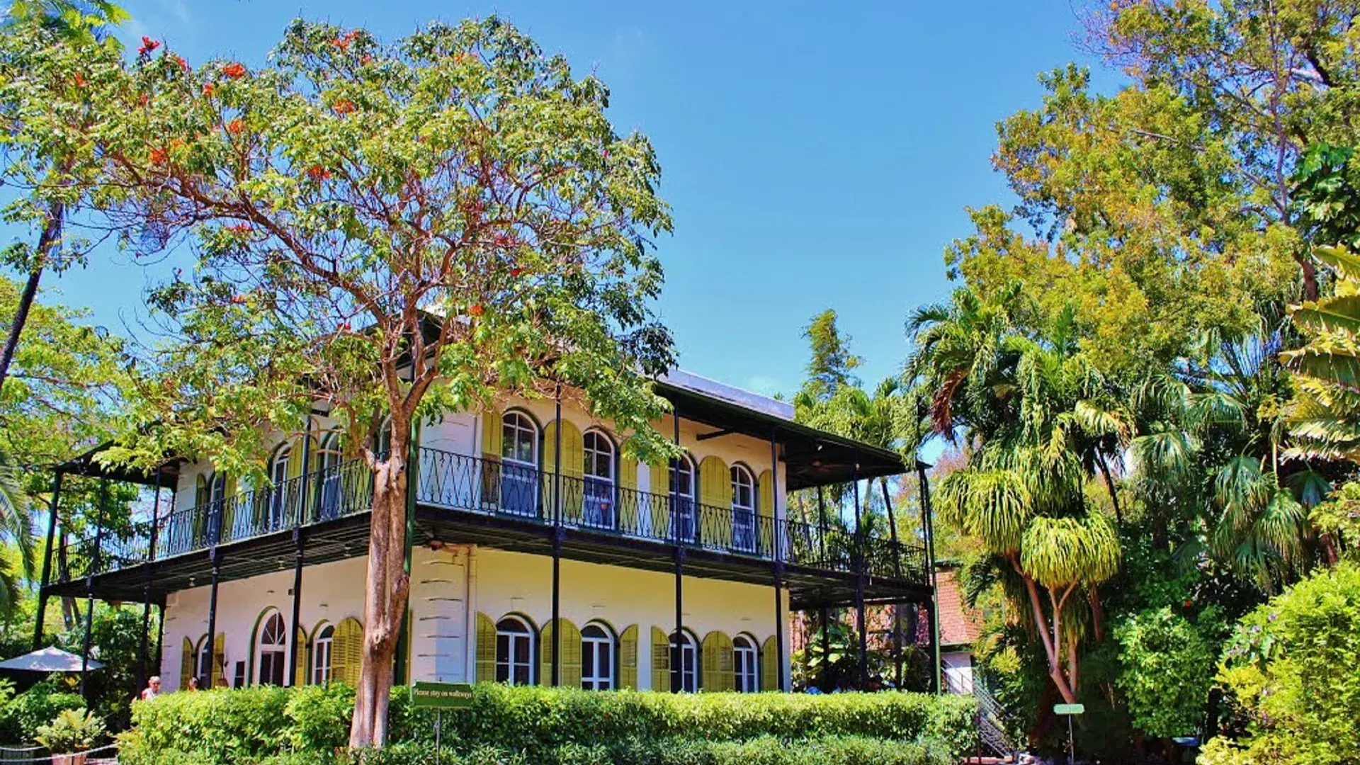 Zdjęcie z programu wyjazdu