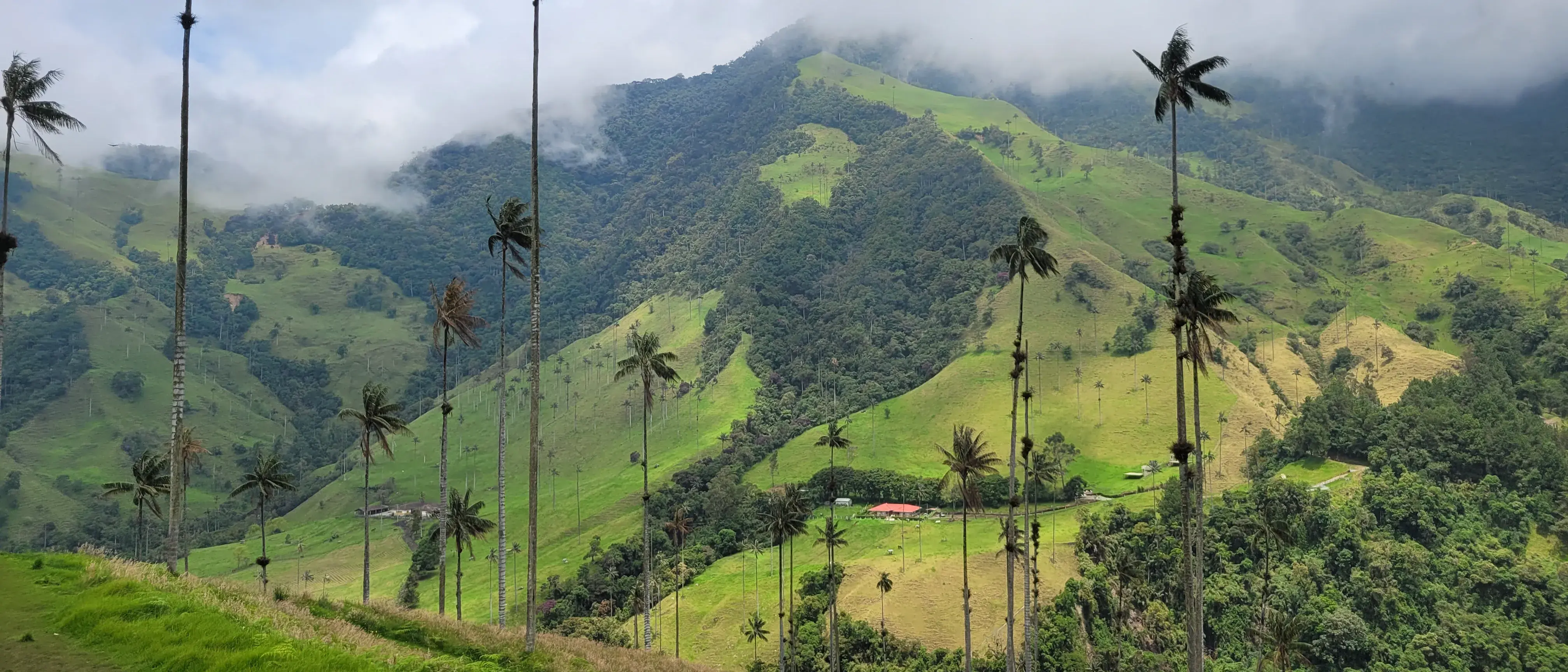 Zdjęcie z programu wyjazdu