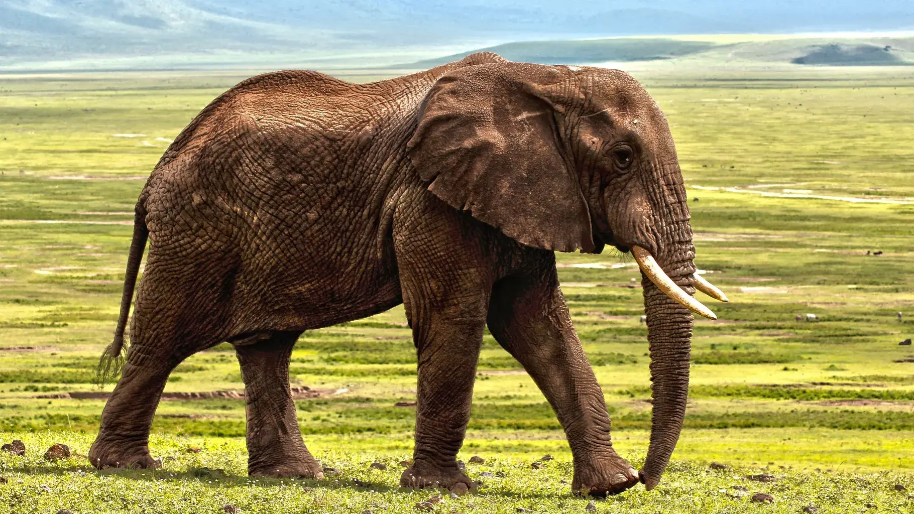 Zdjęcie z programu wyjazdu