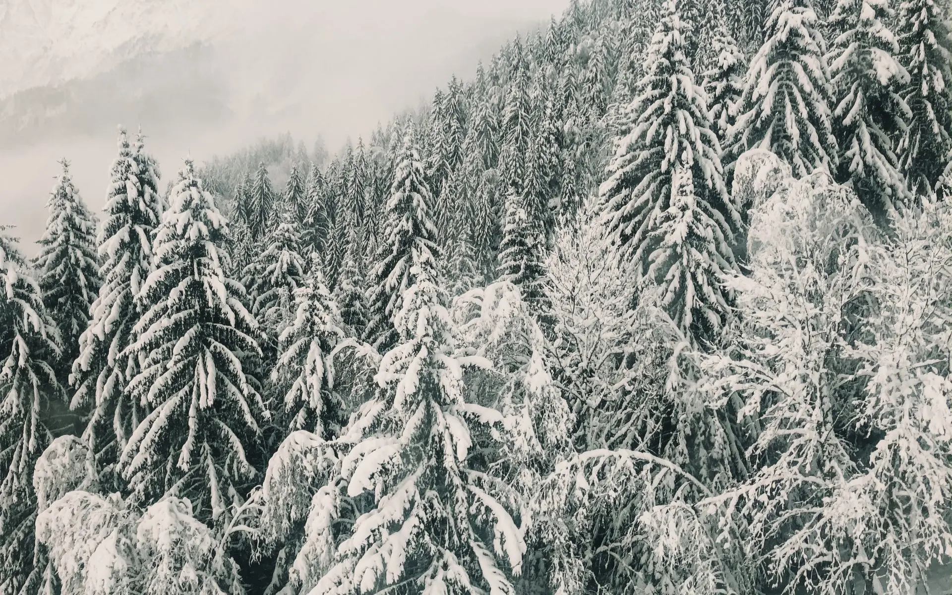 Zdjęcie z programu wyjazdu