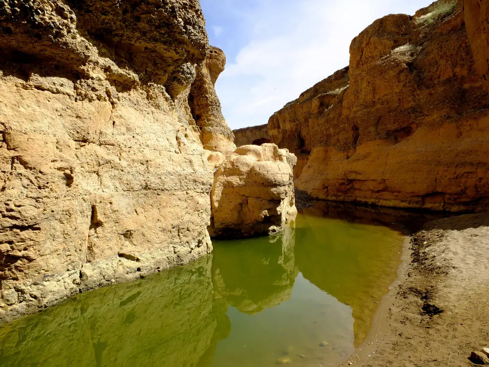 Zdjęcie z programu wyjazdu